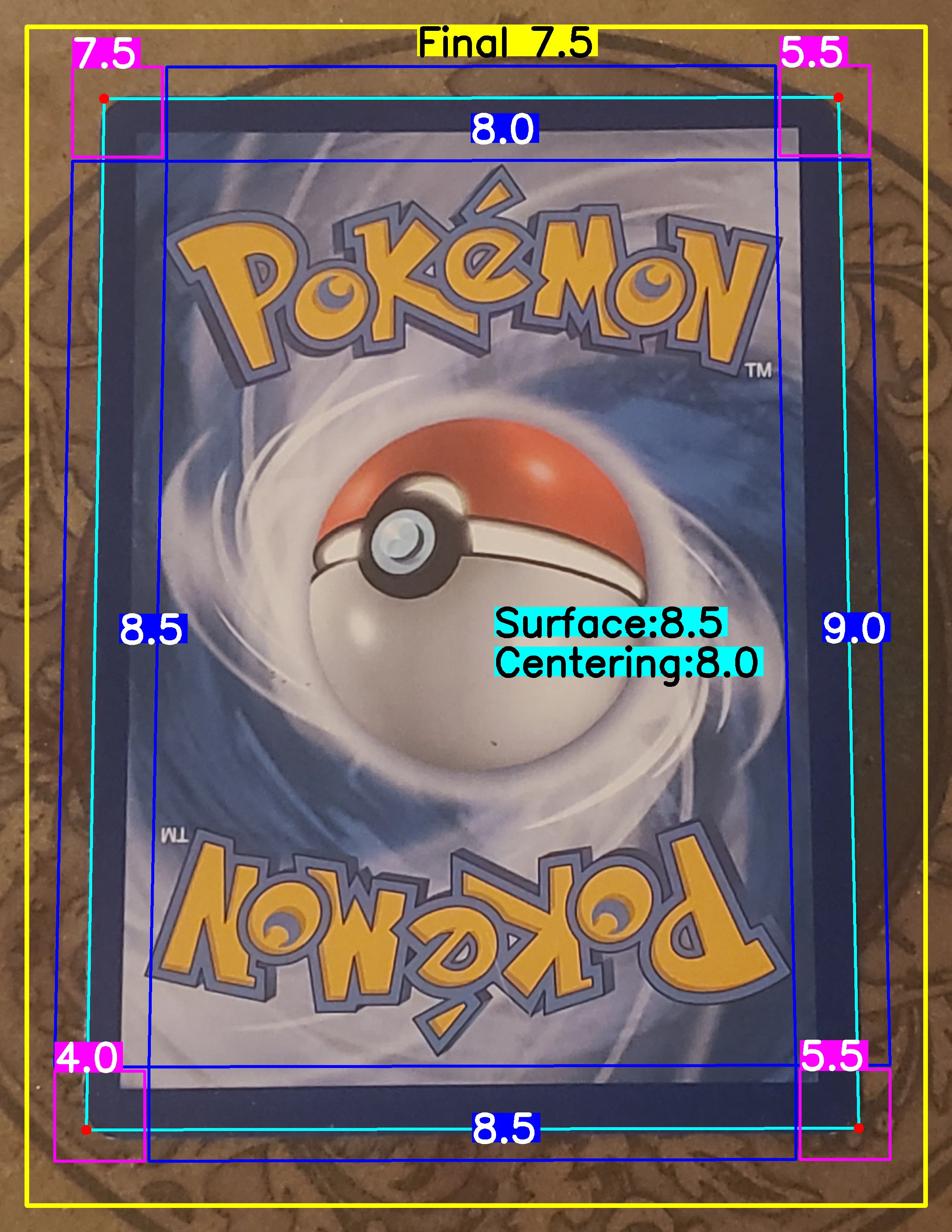 Back Card
