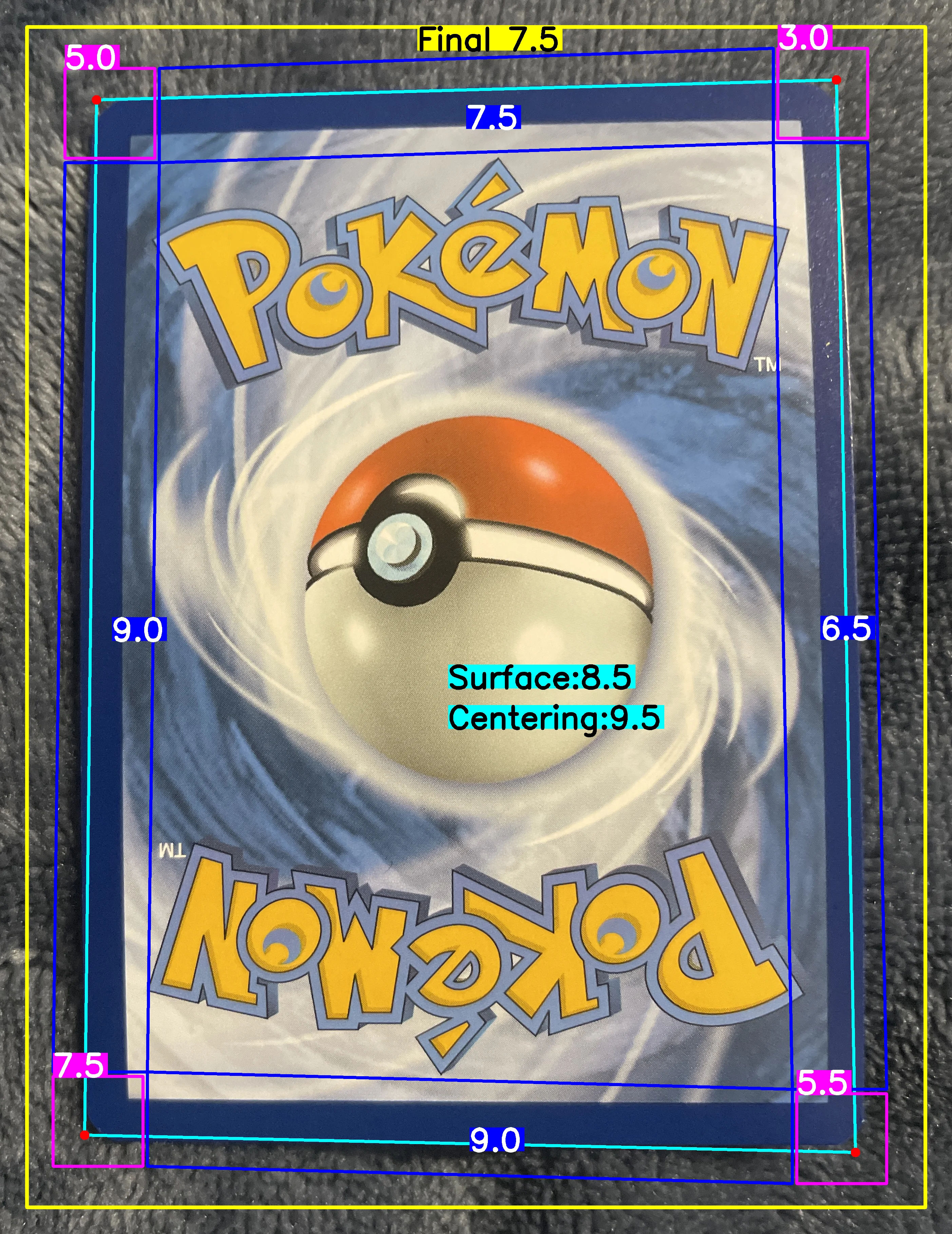 Back Card