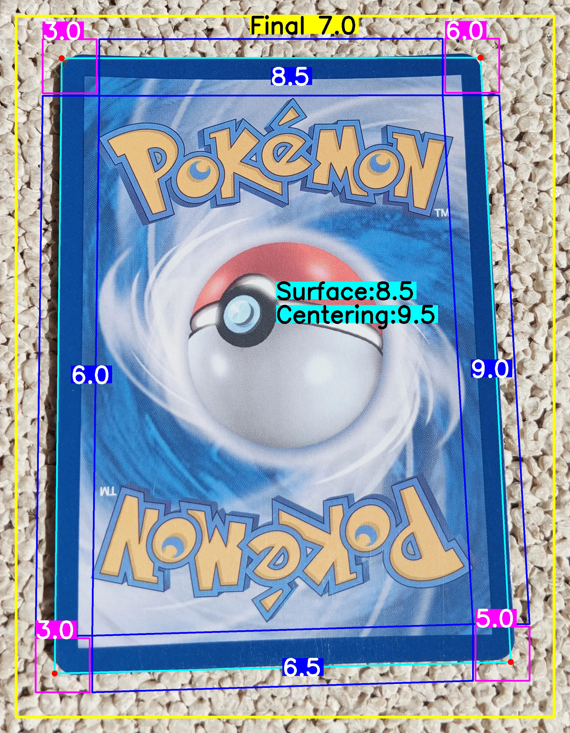 Back Card