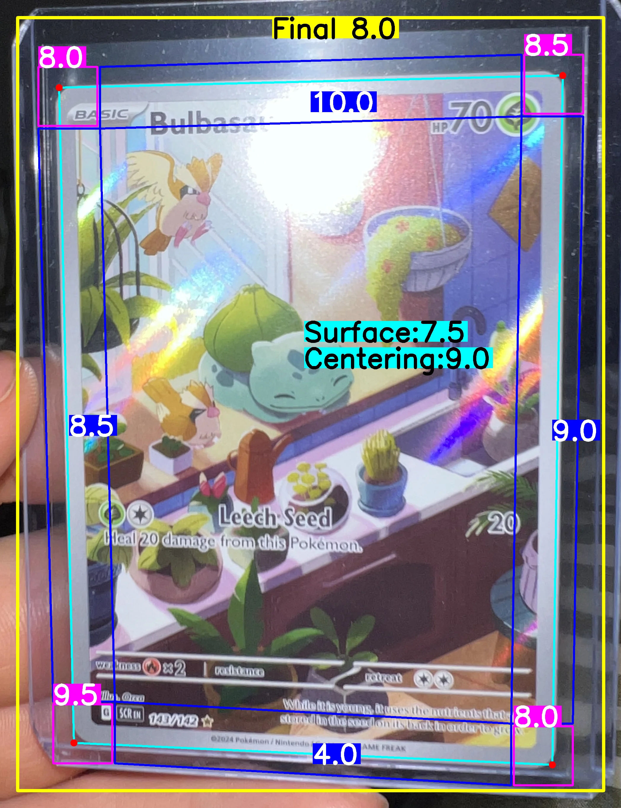 Back Card