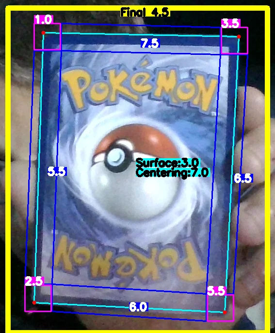 Back Card