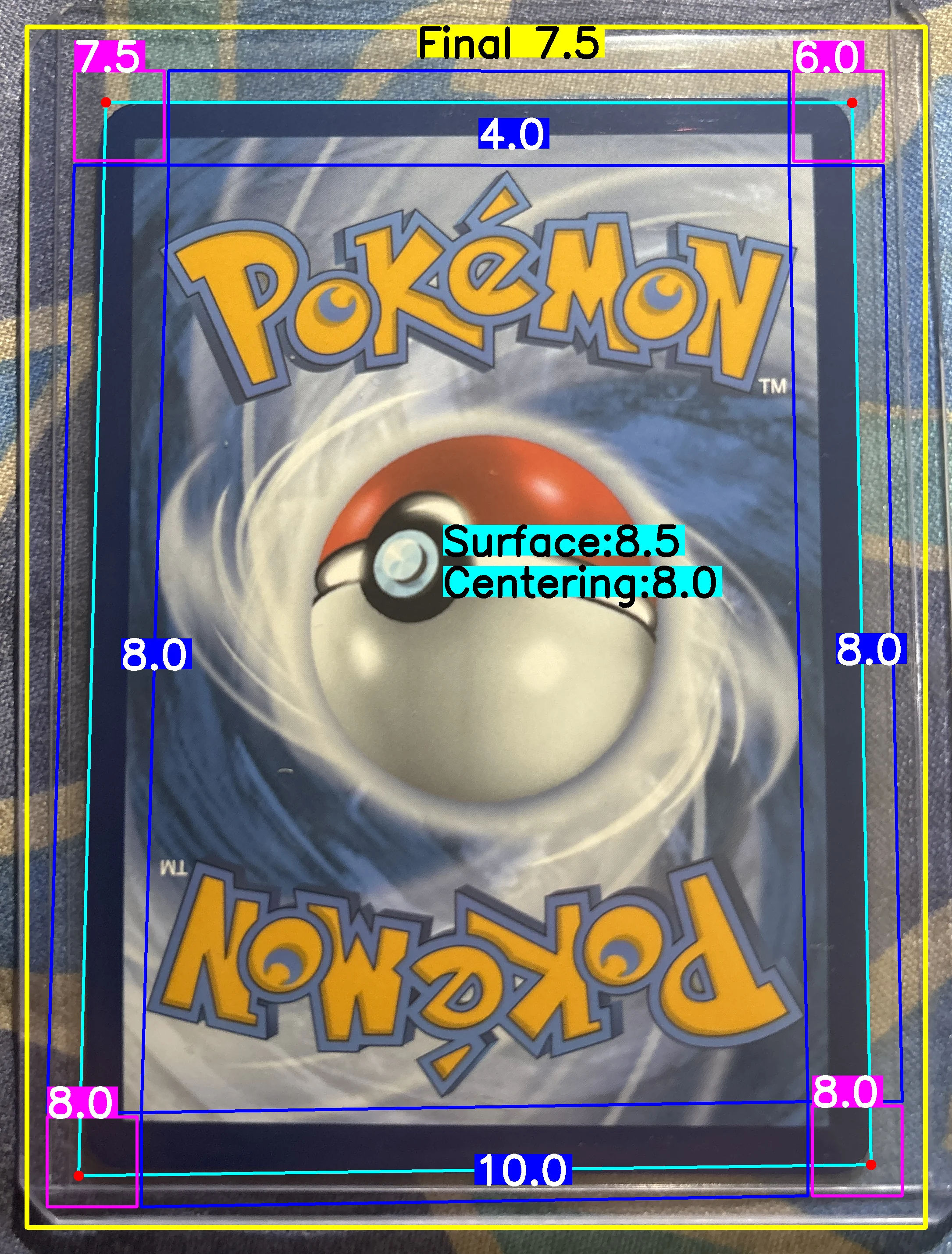 Back Card