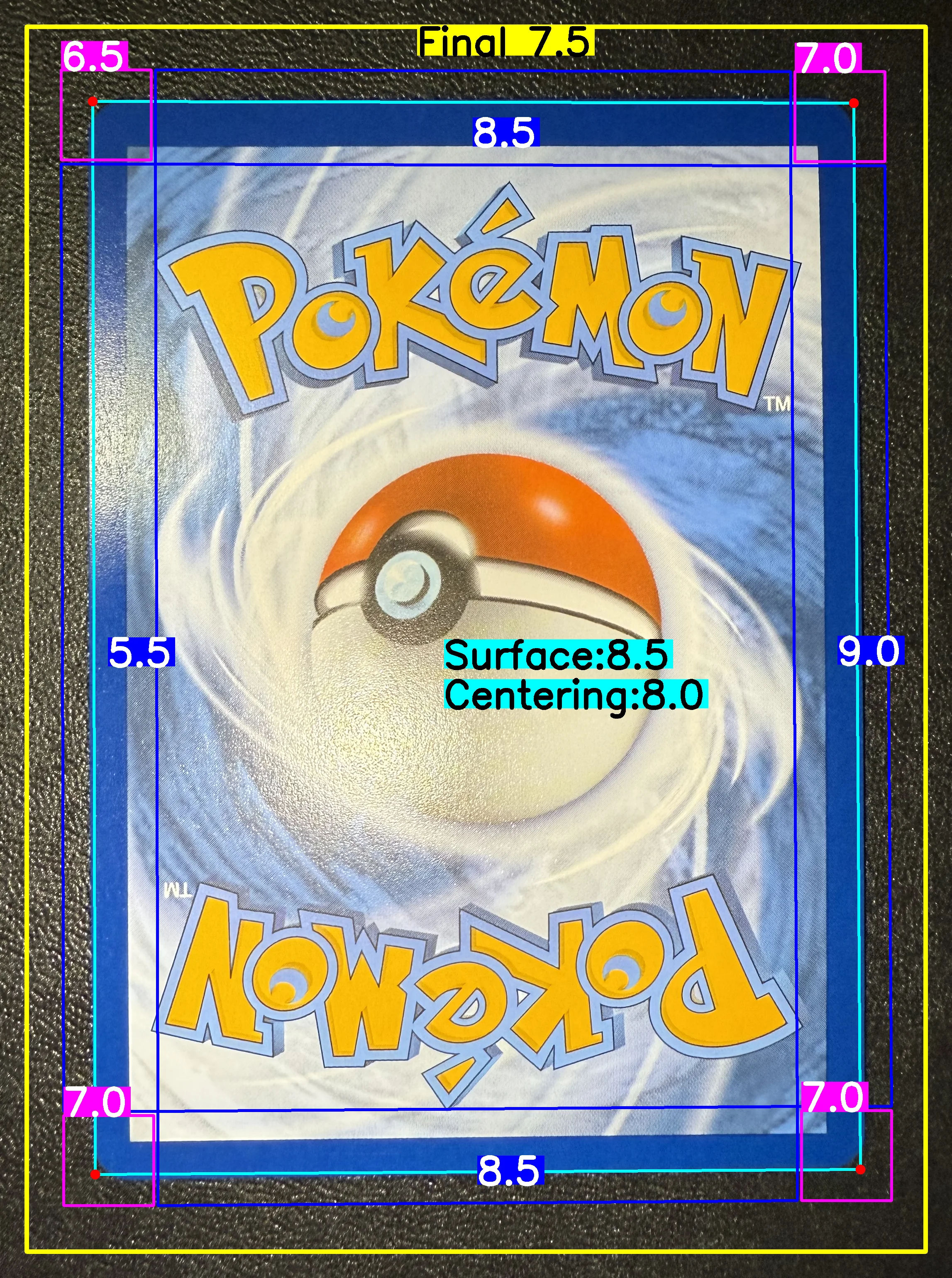 Back Card