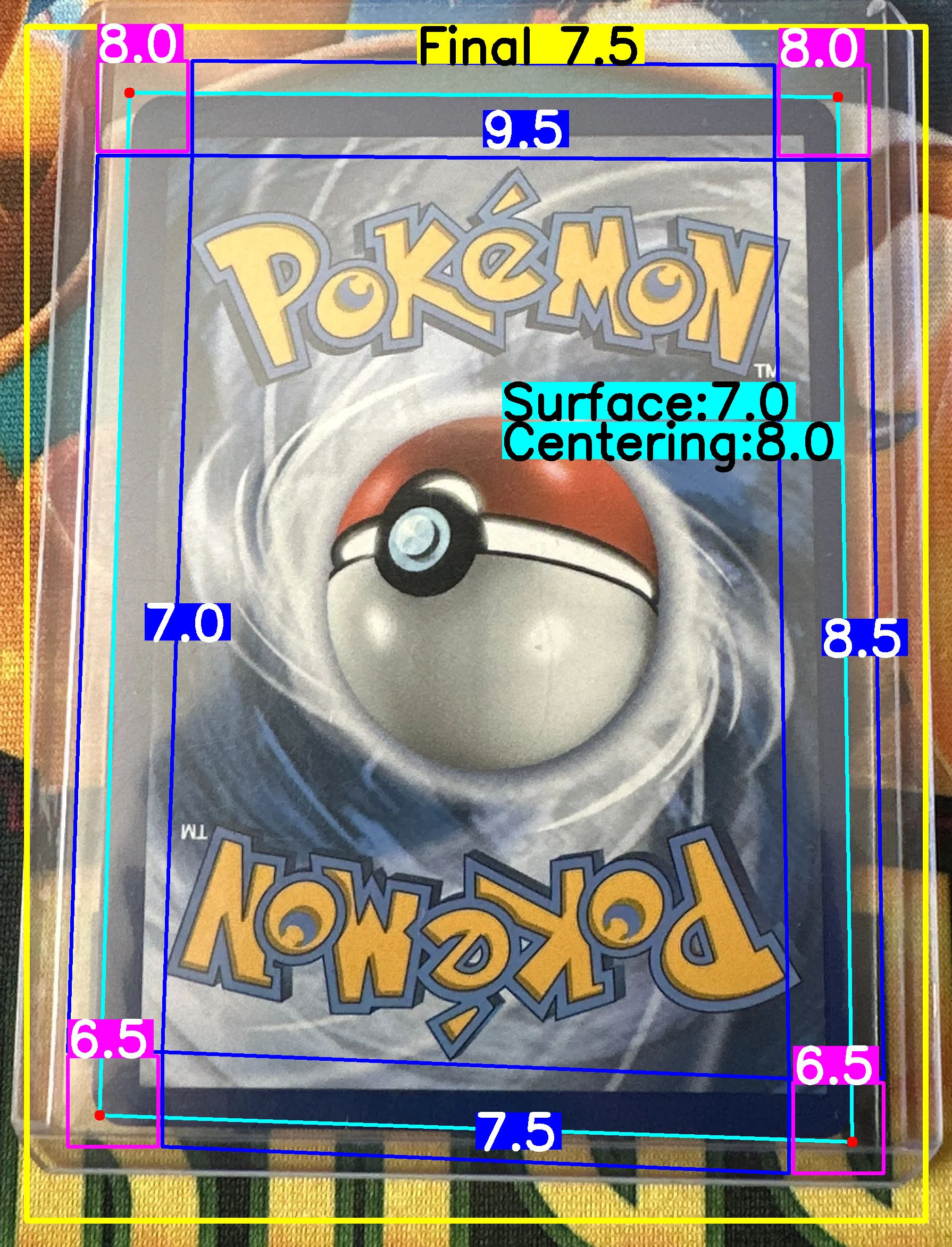 Back Card