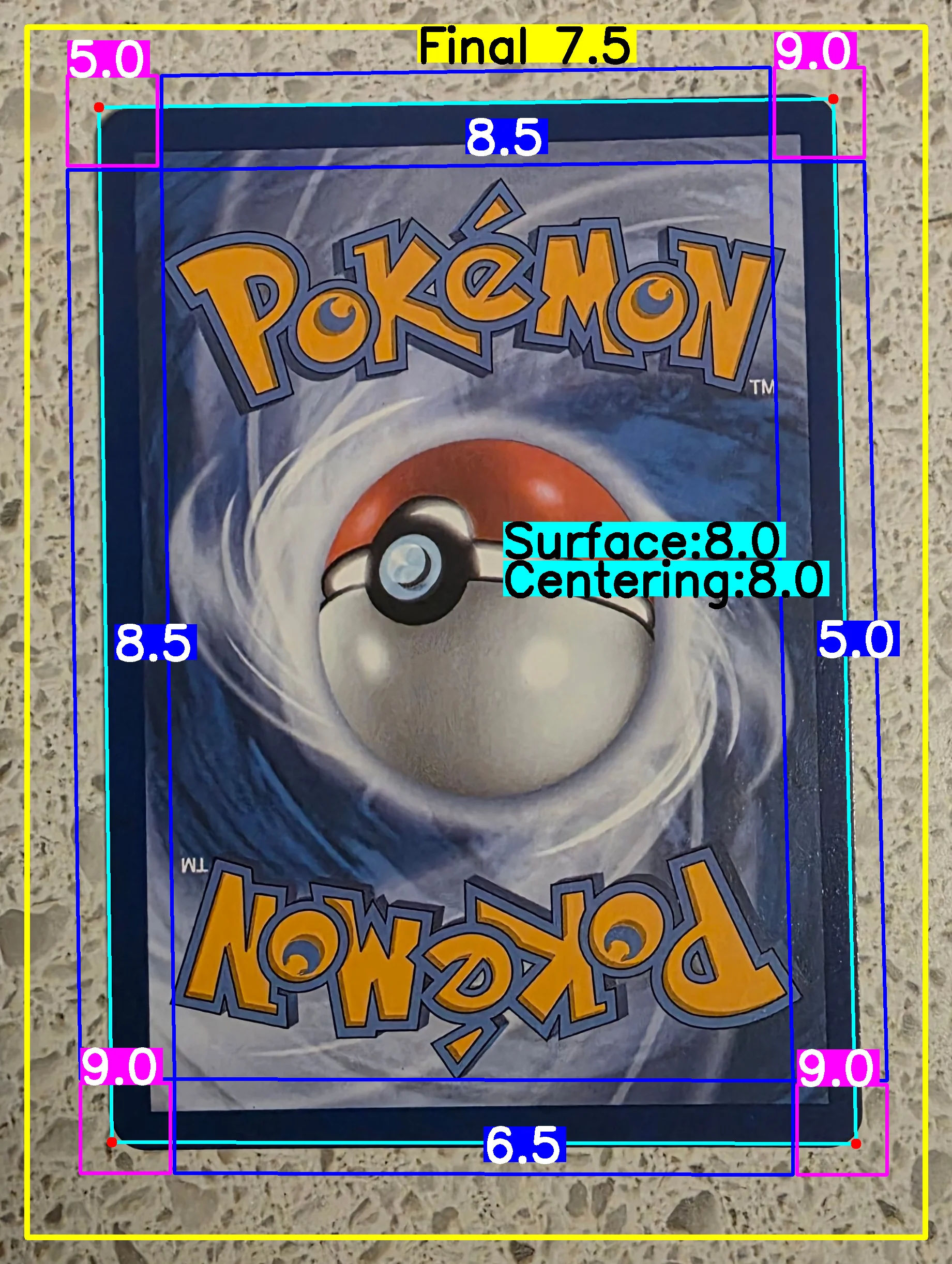 Back Card