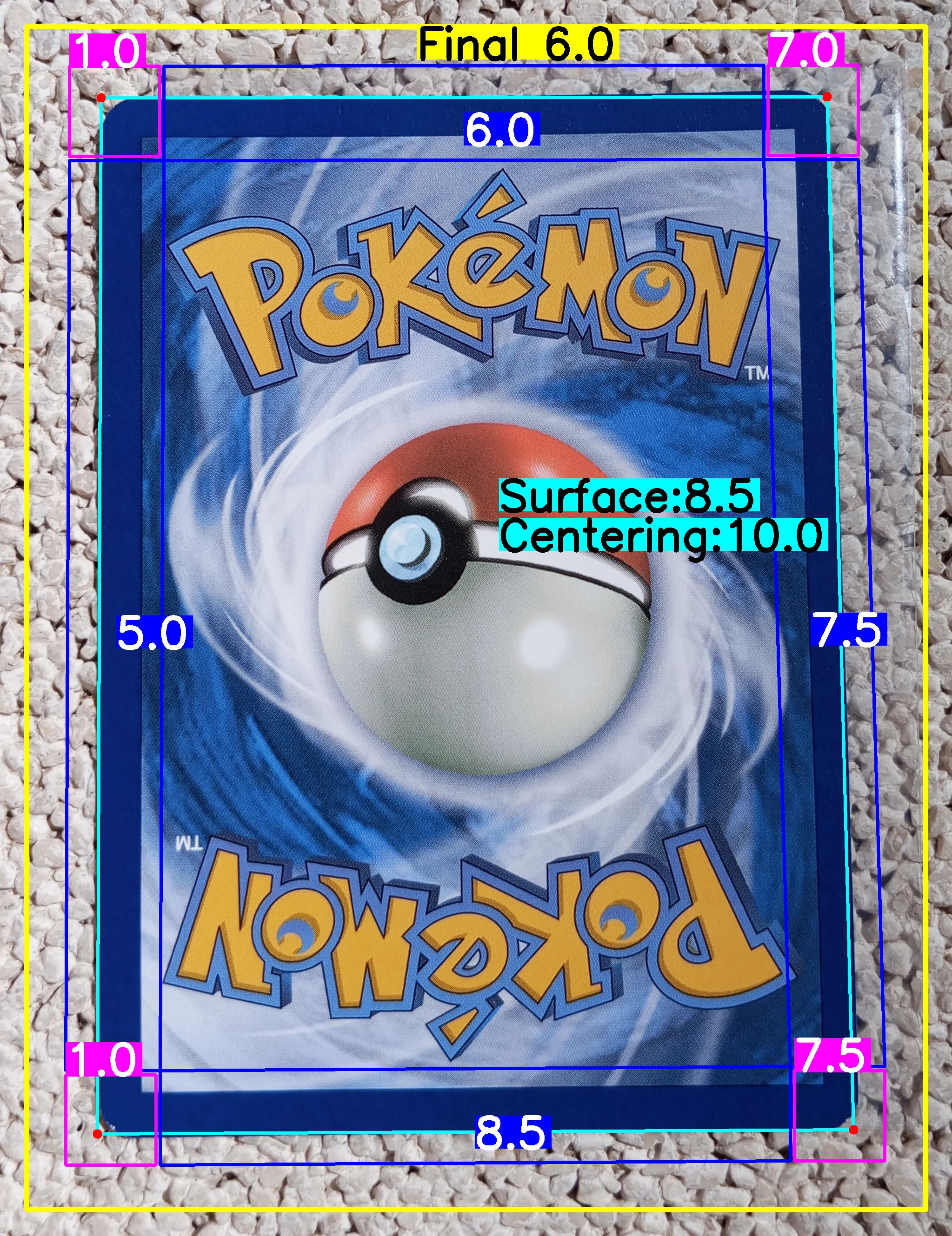 Back Card