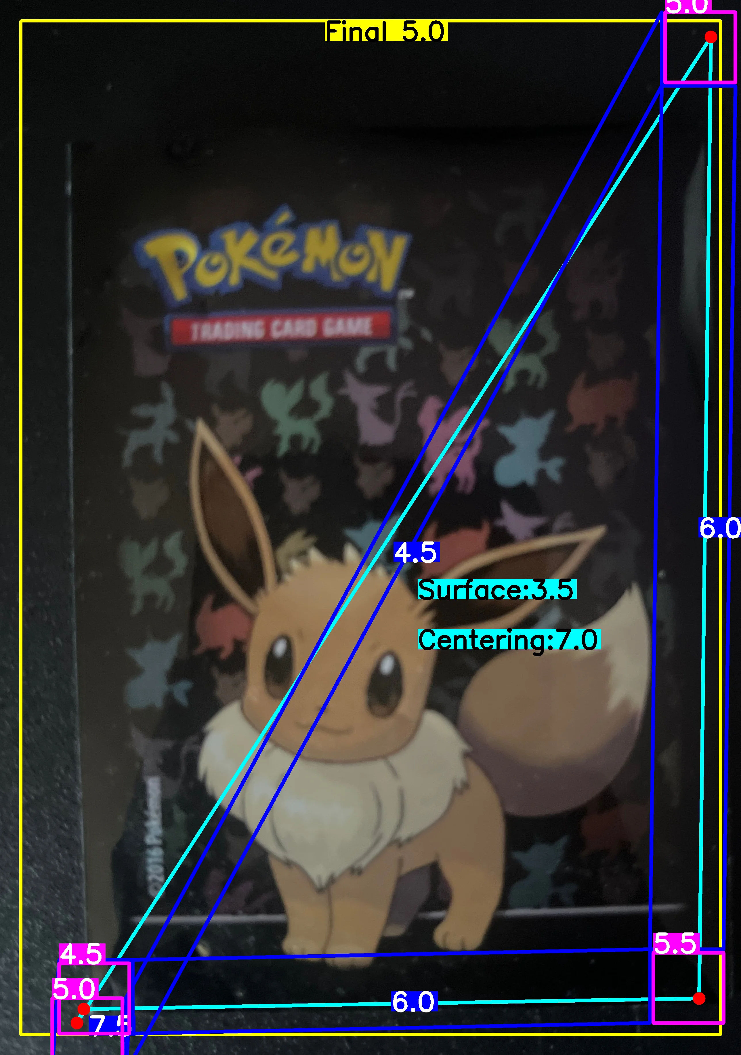 Back Card