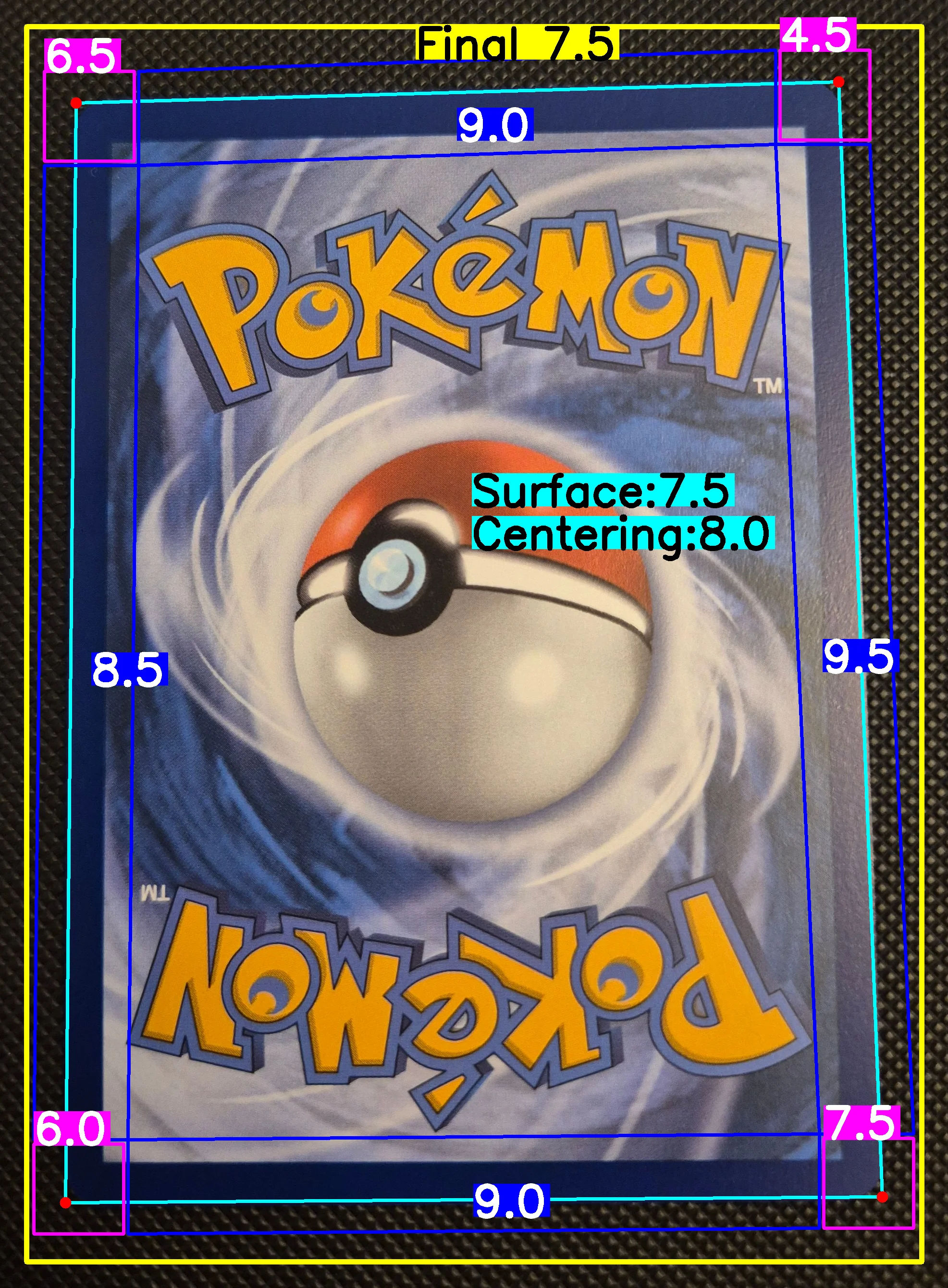 Back Card