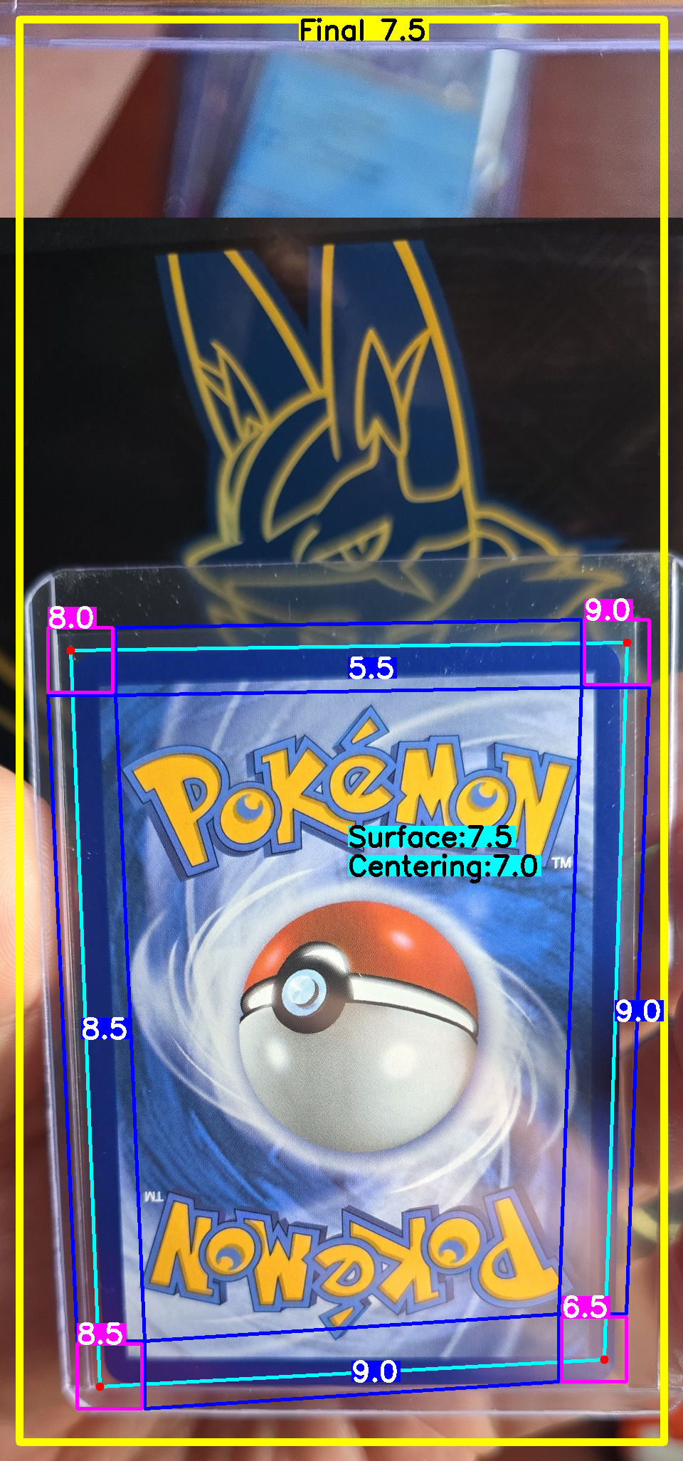 Back Card
