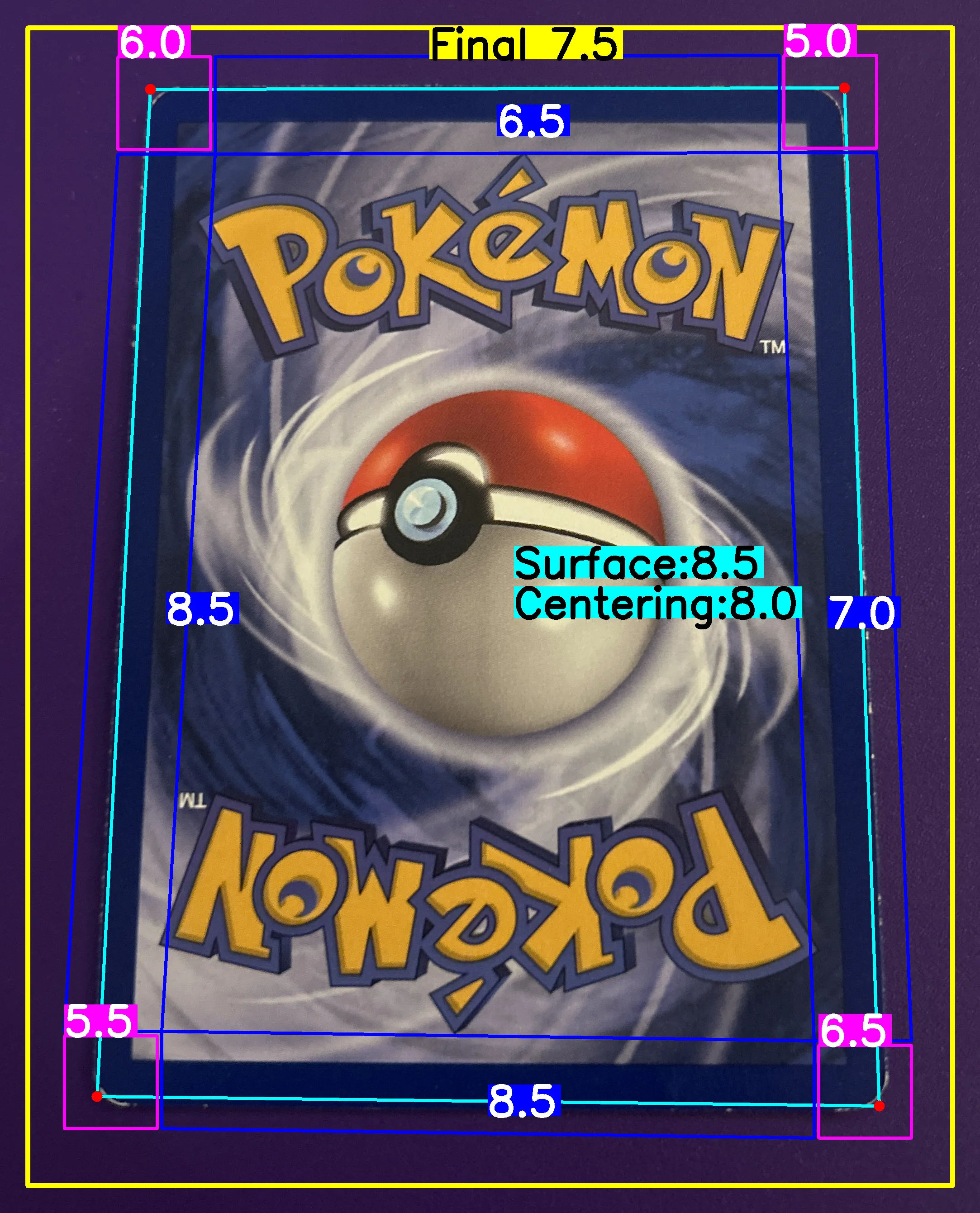 Back Card