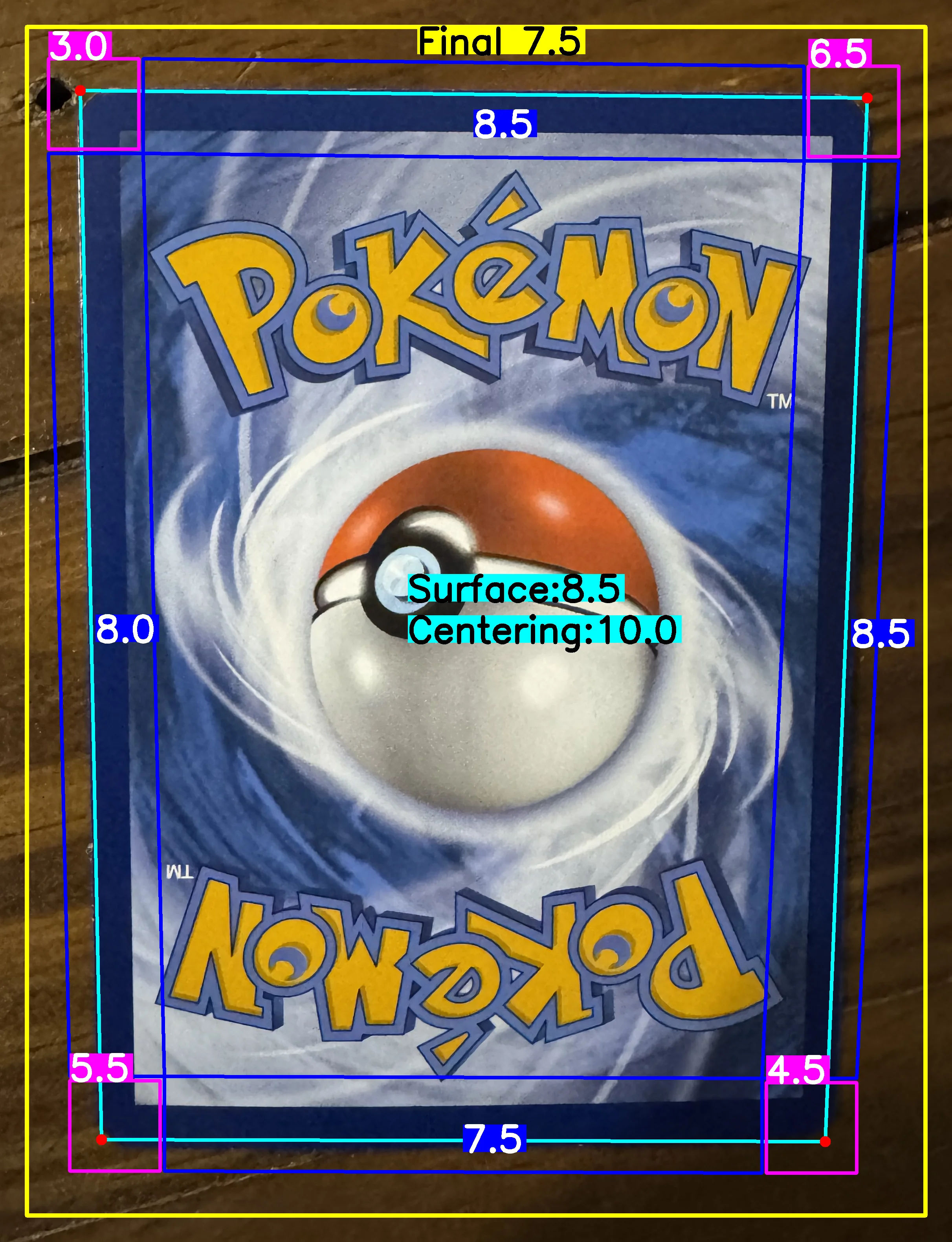 Back Card