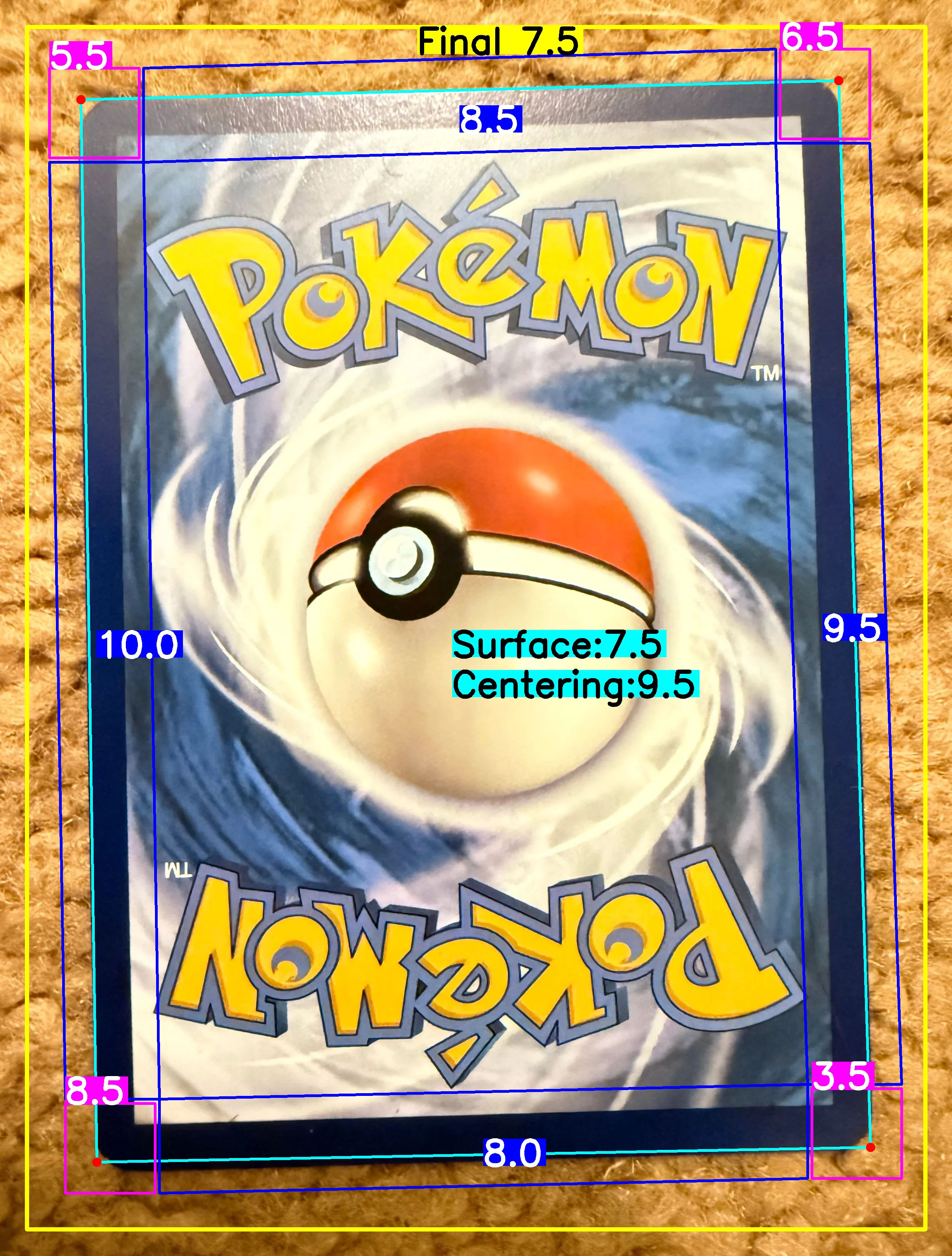 Back Card