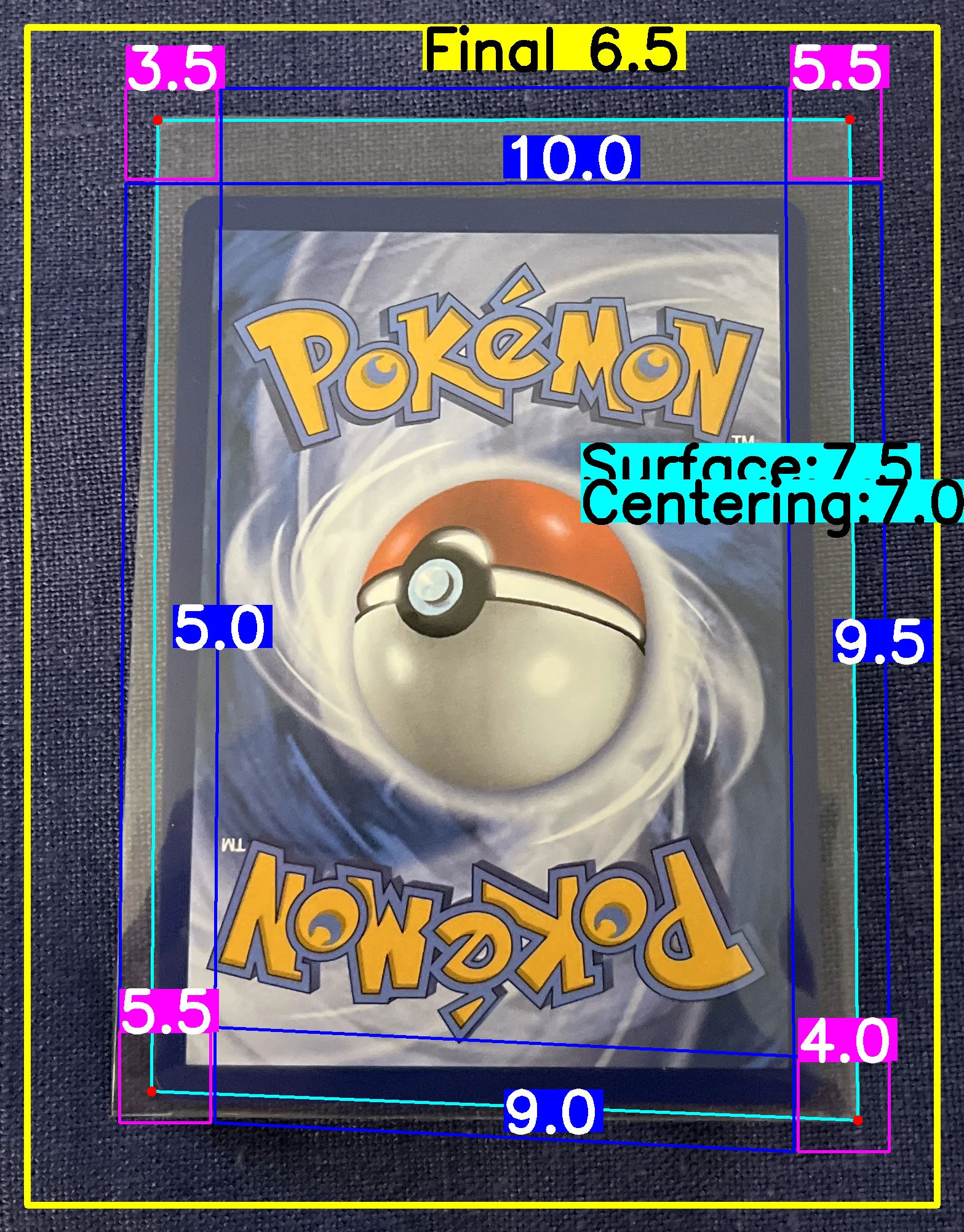 Back Card