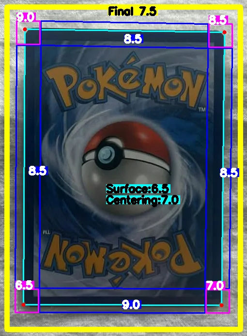 Back Card