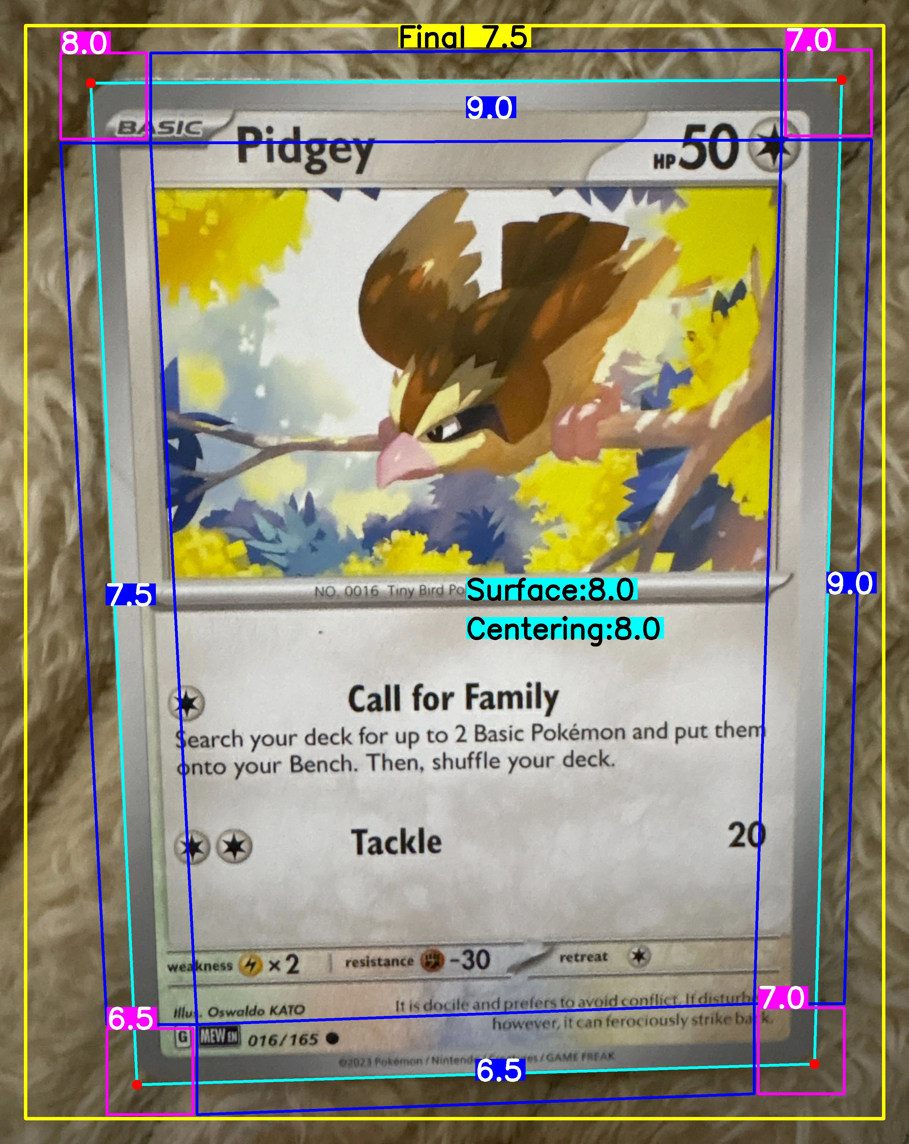 Back Card