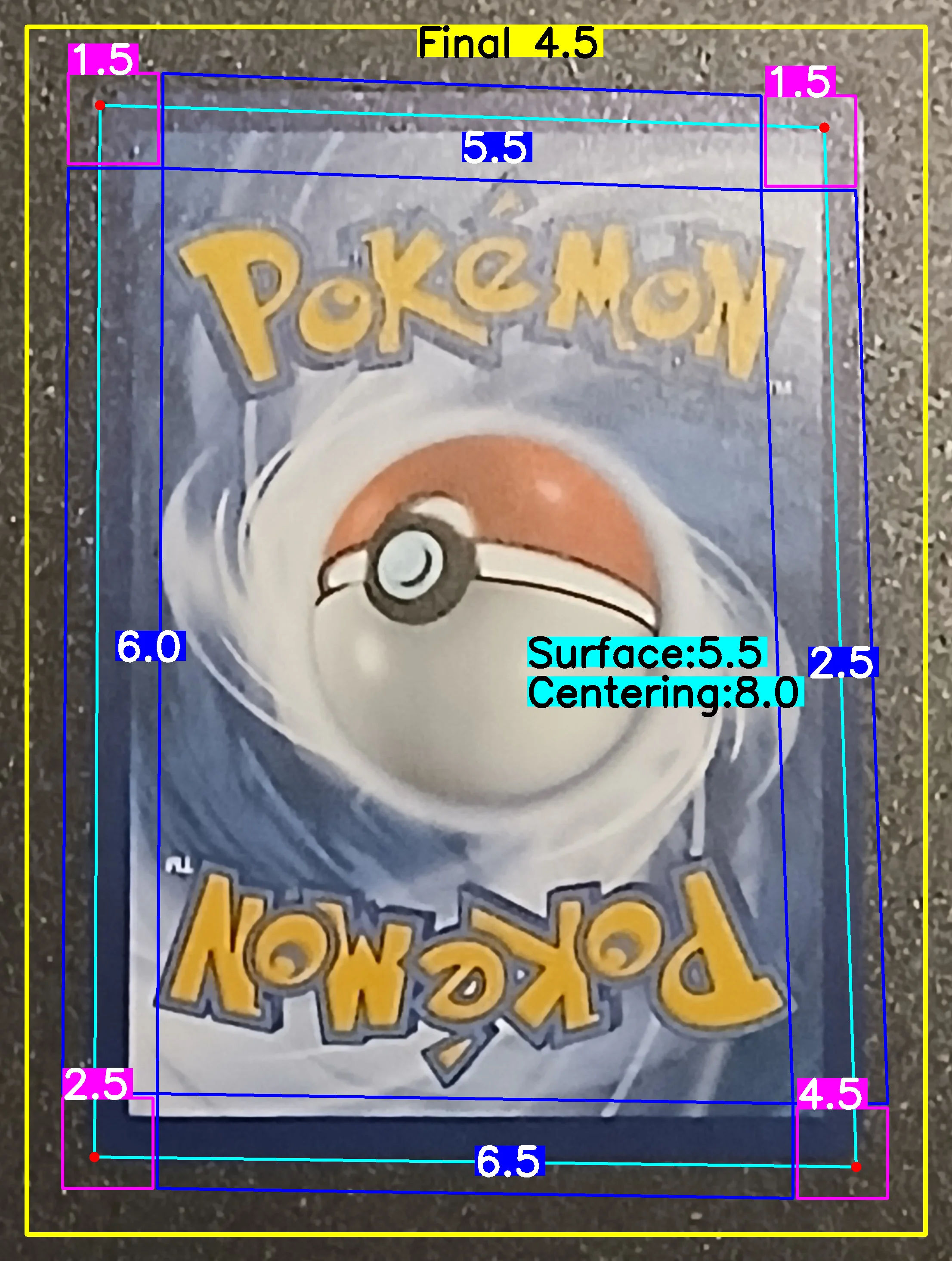Back Card