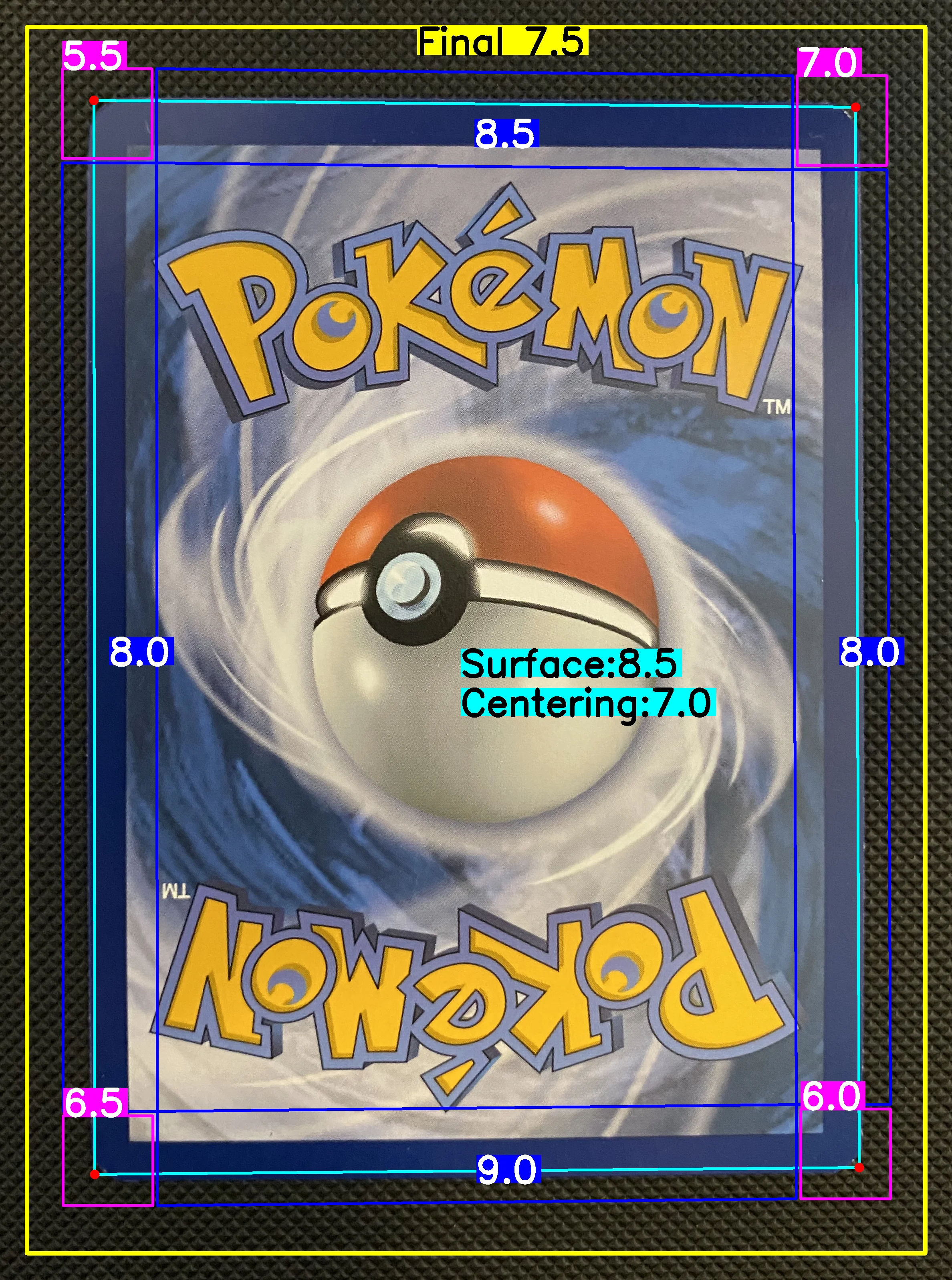 Back Card