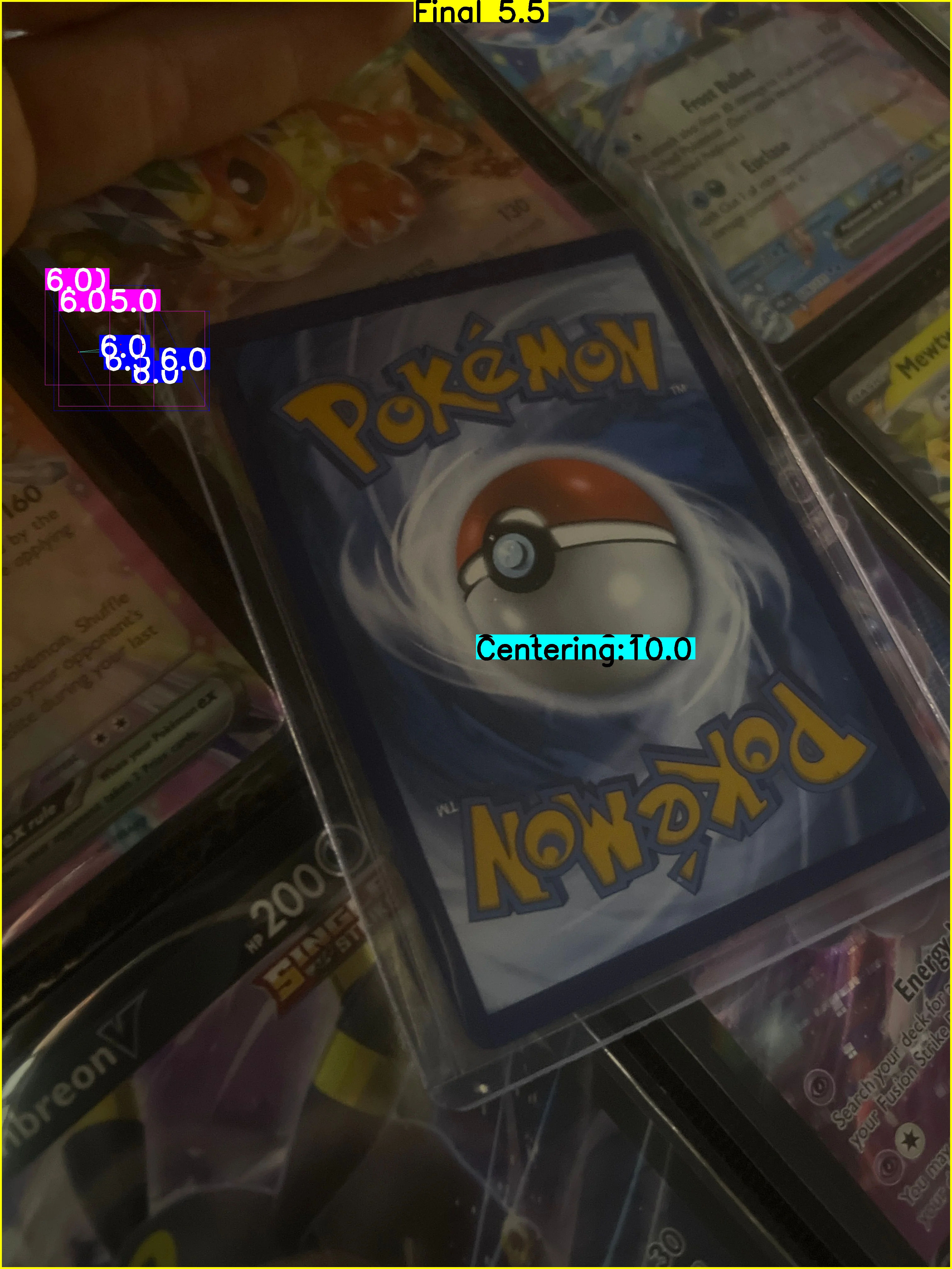 Back Card