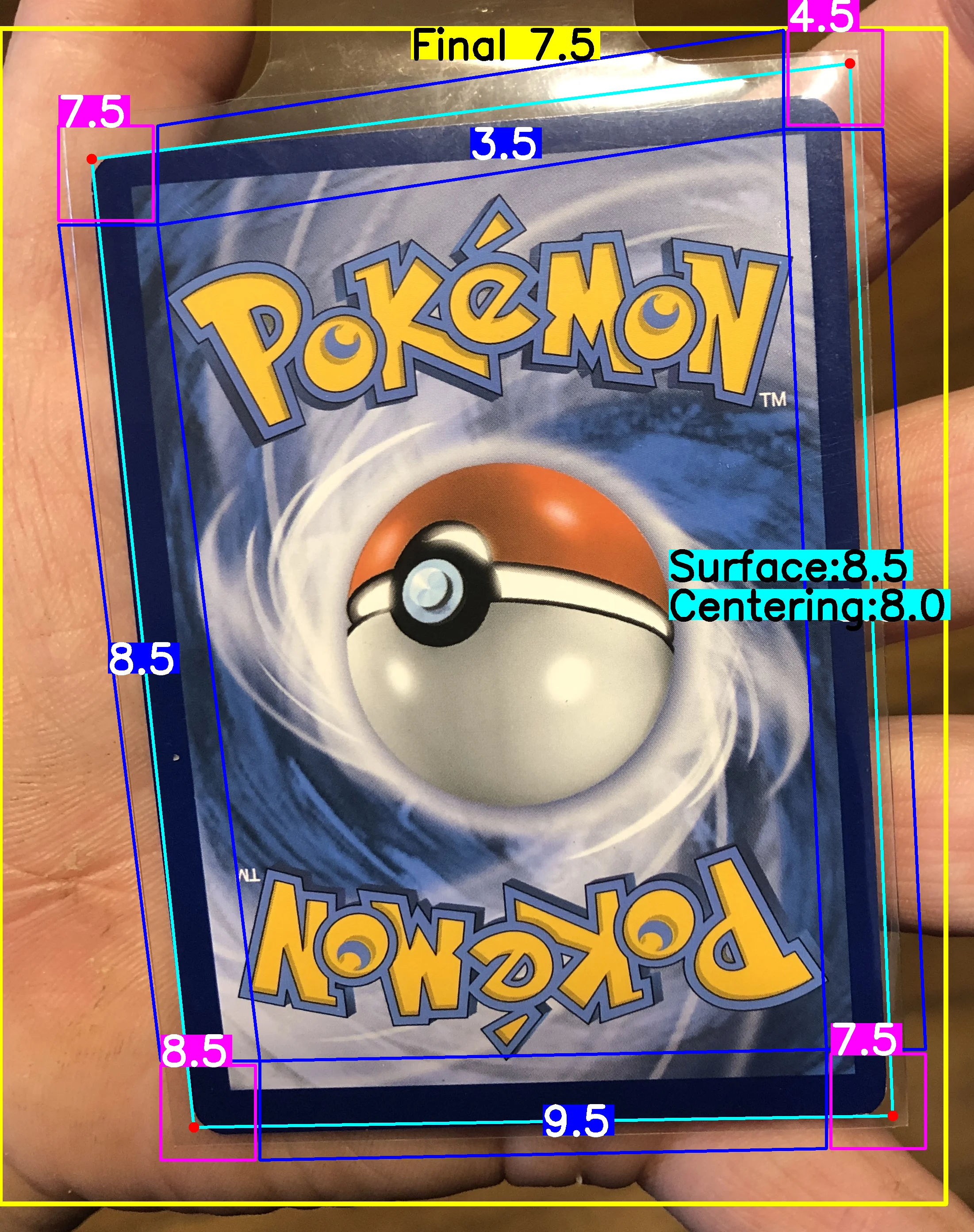Back Card