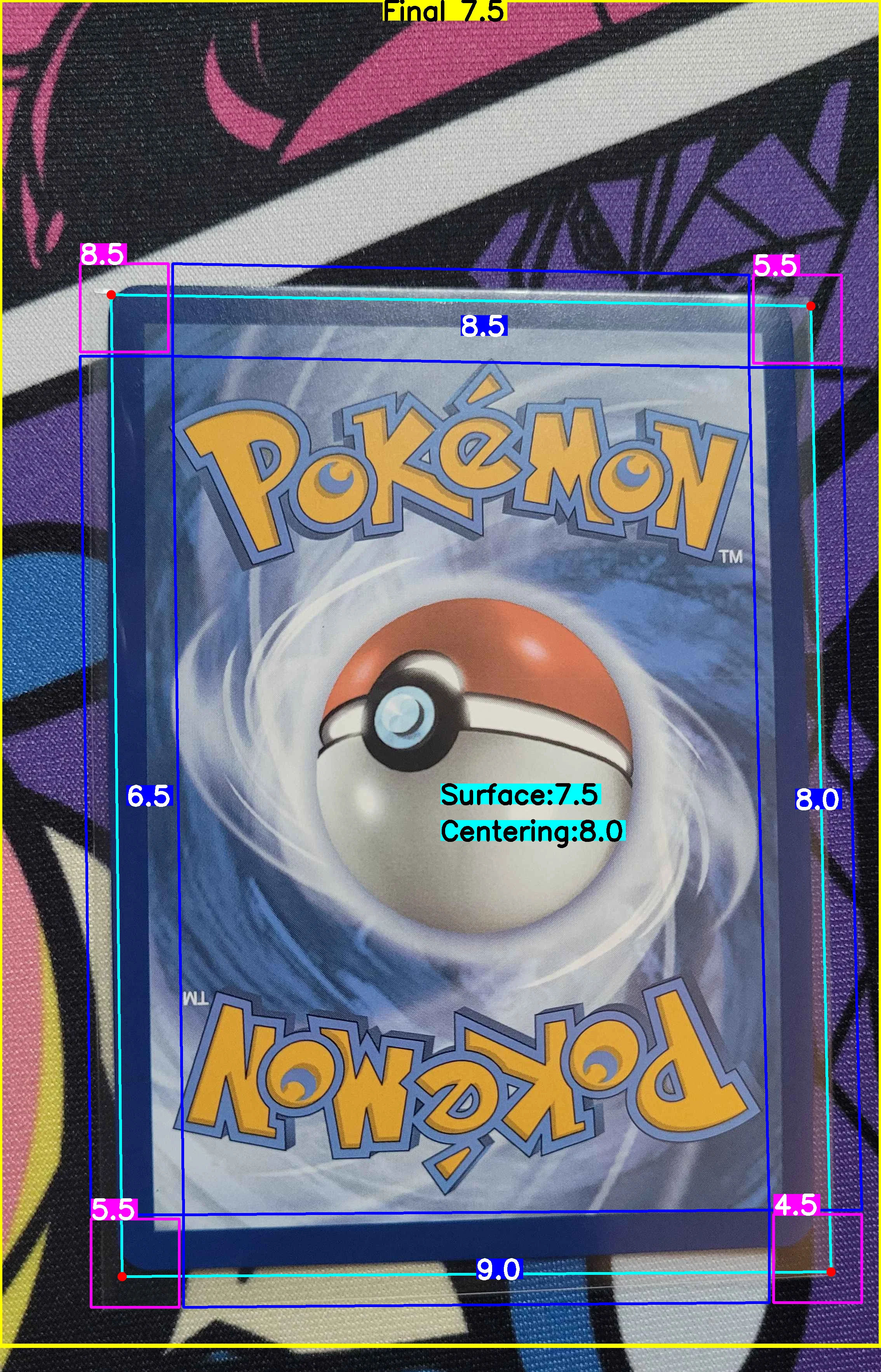 Back Card