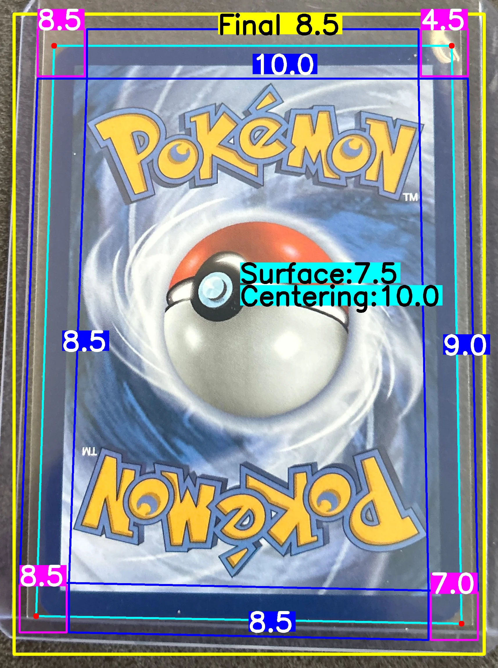 Back Card