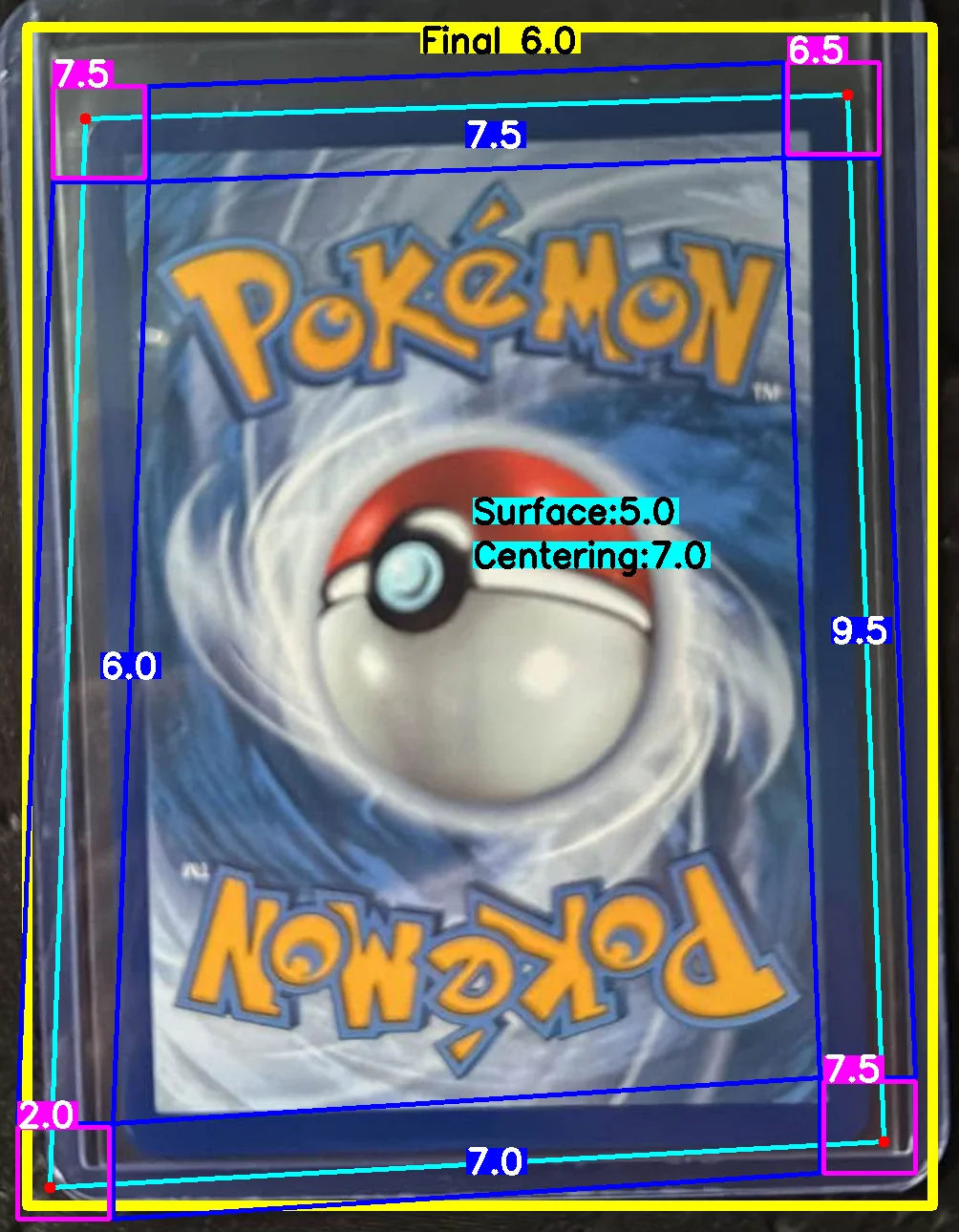 Back Card