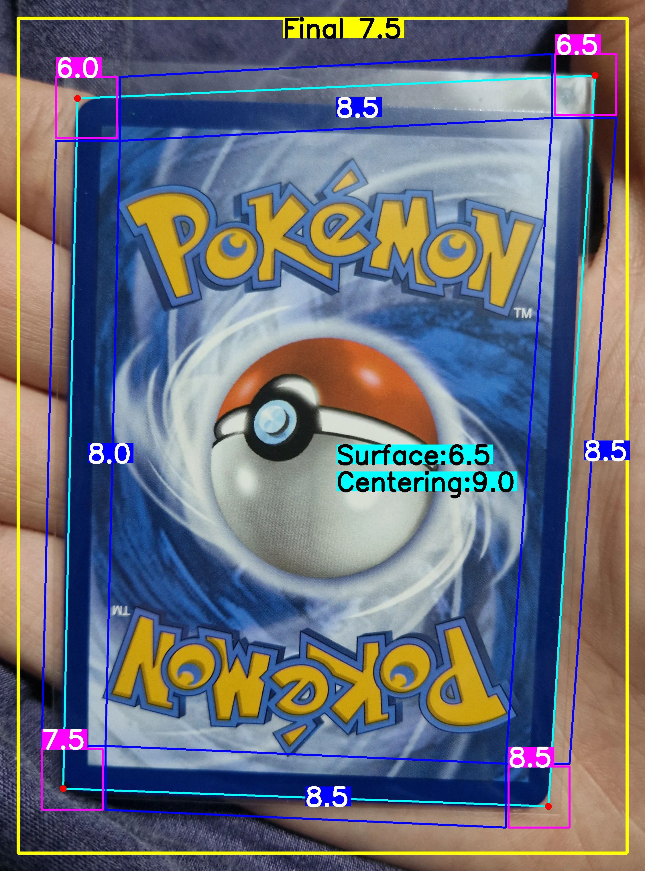 Back Card