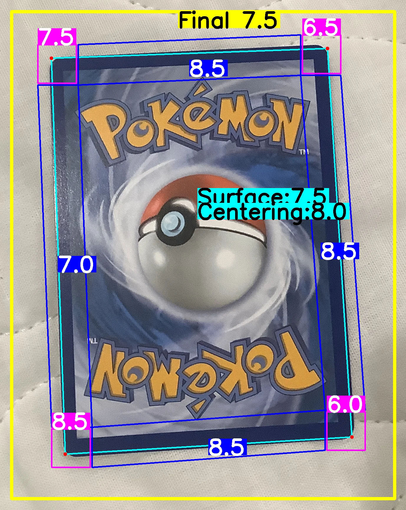 Back Card