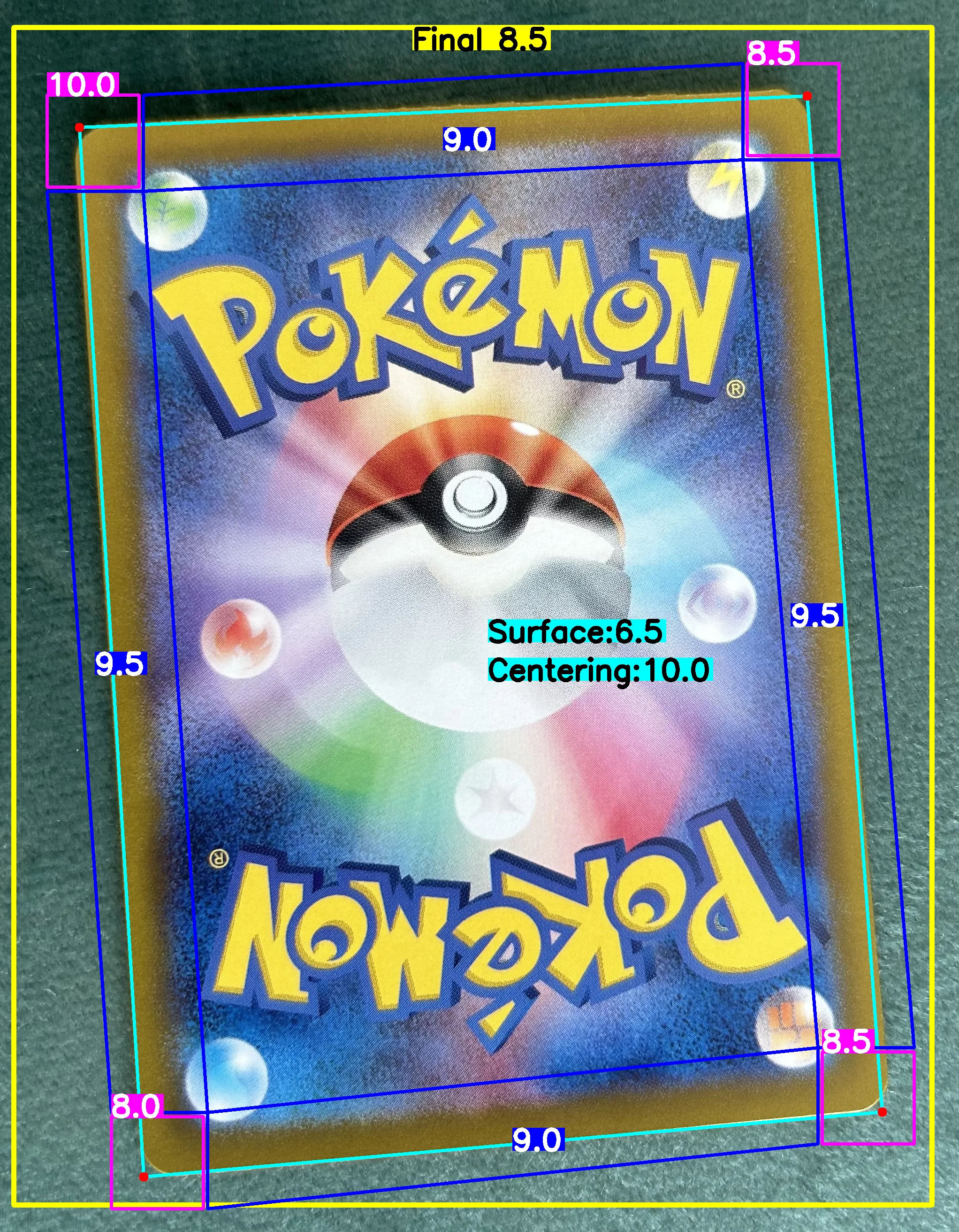 Back Card