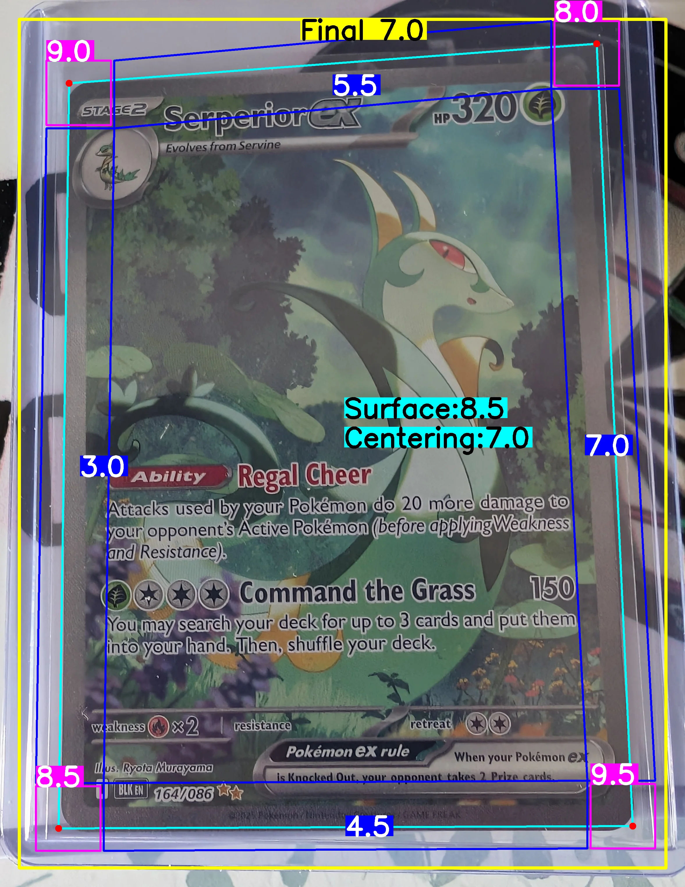 Front Card