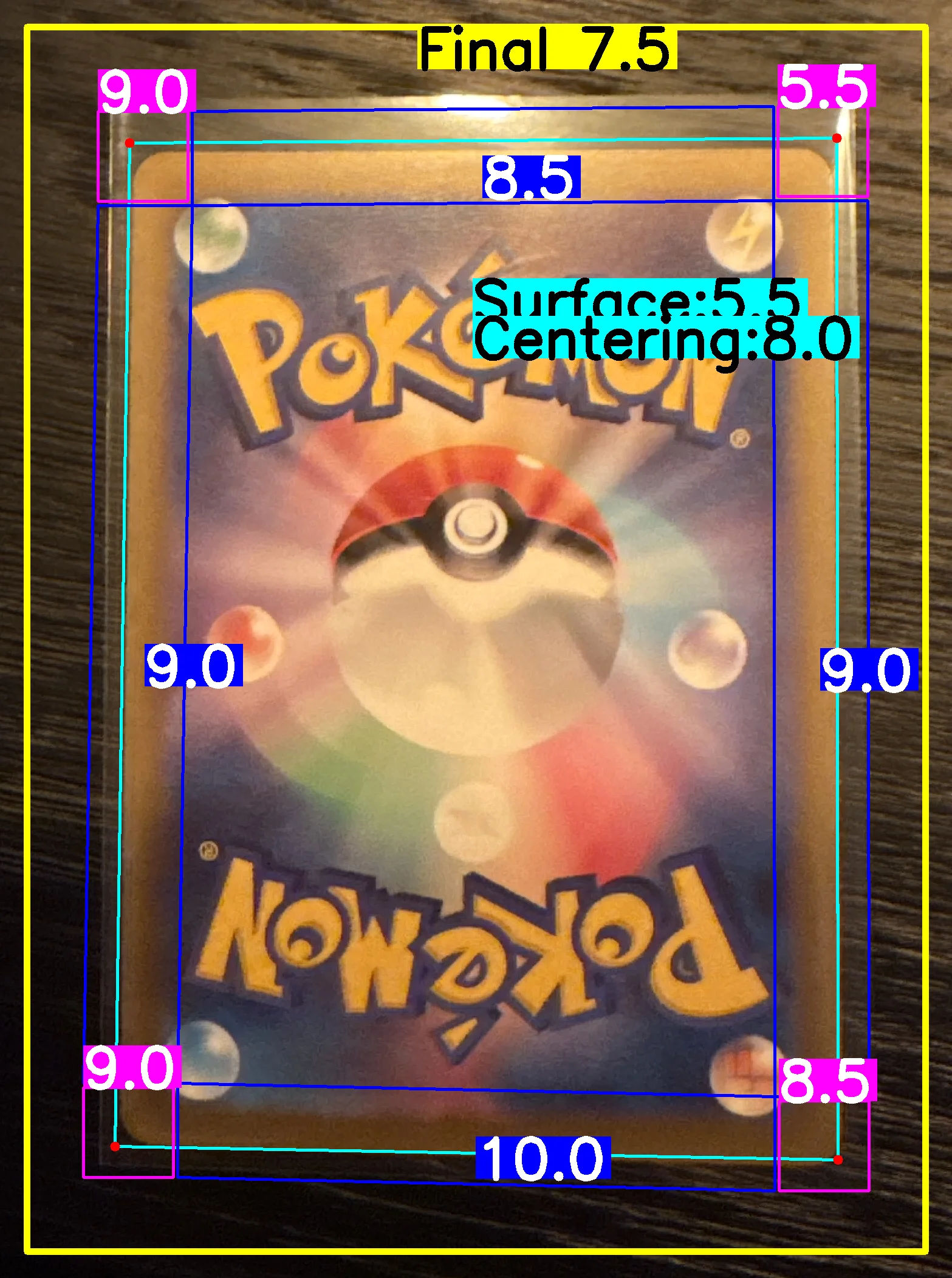 Back Card