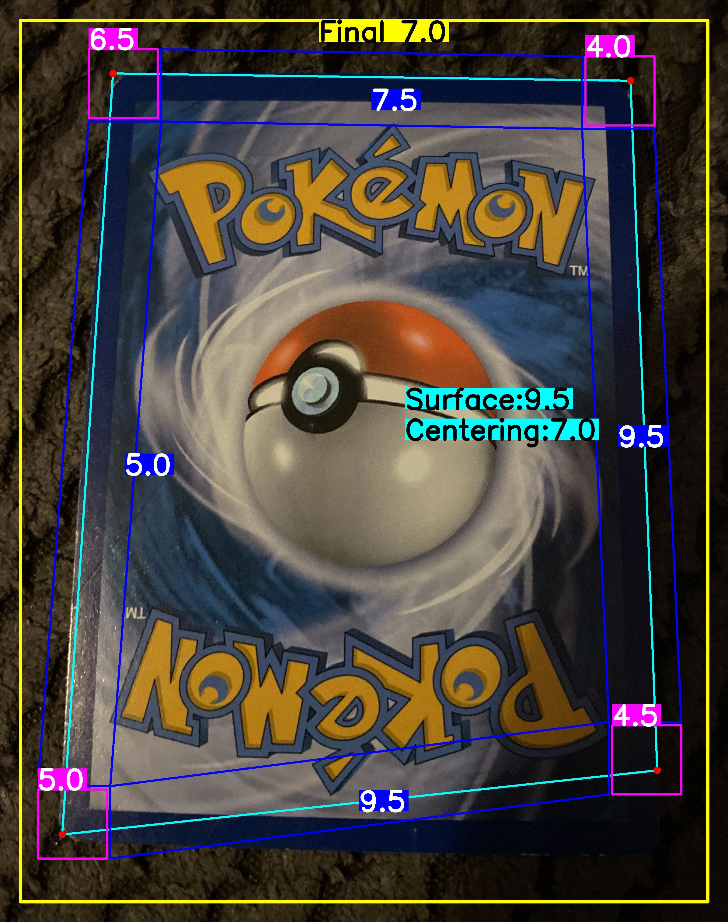 Back Card