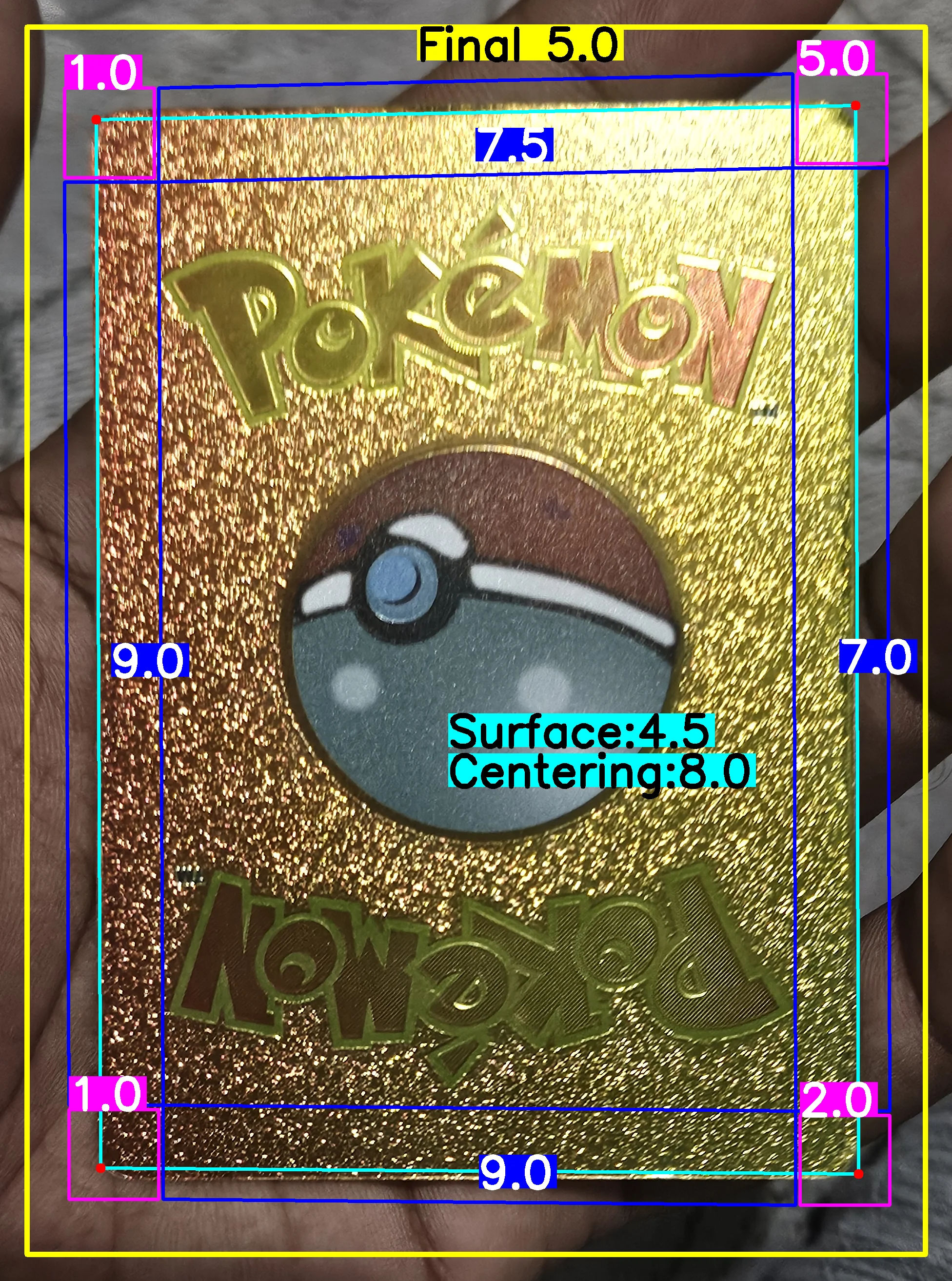 Back Card