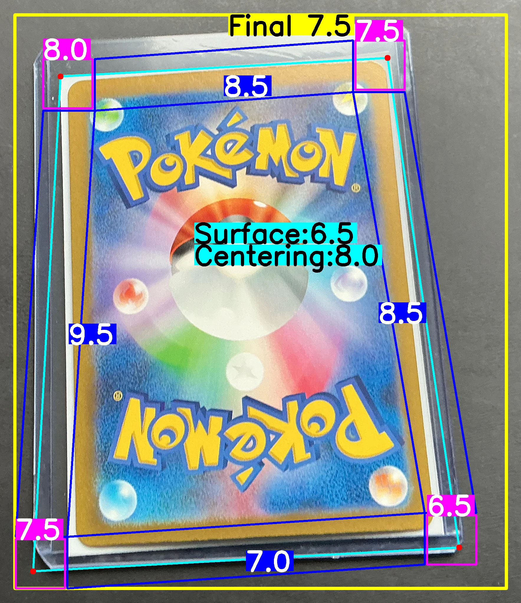 Back Card