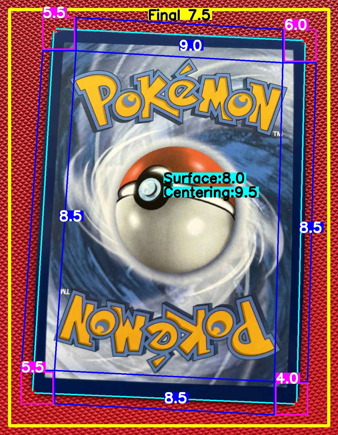 Back Card