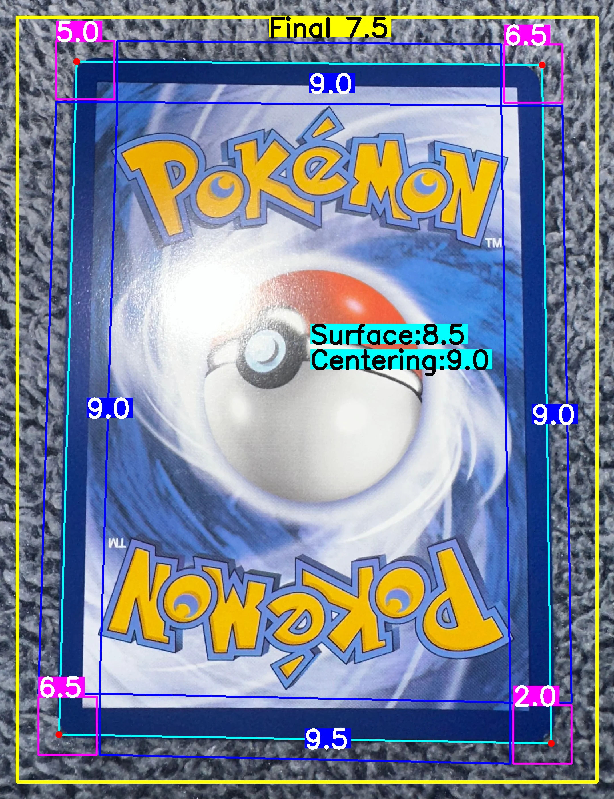 Back Card