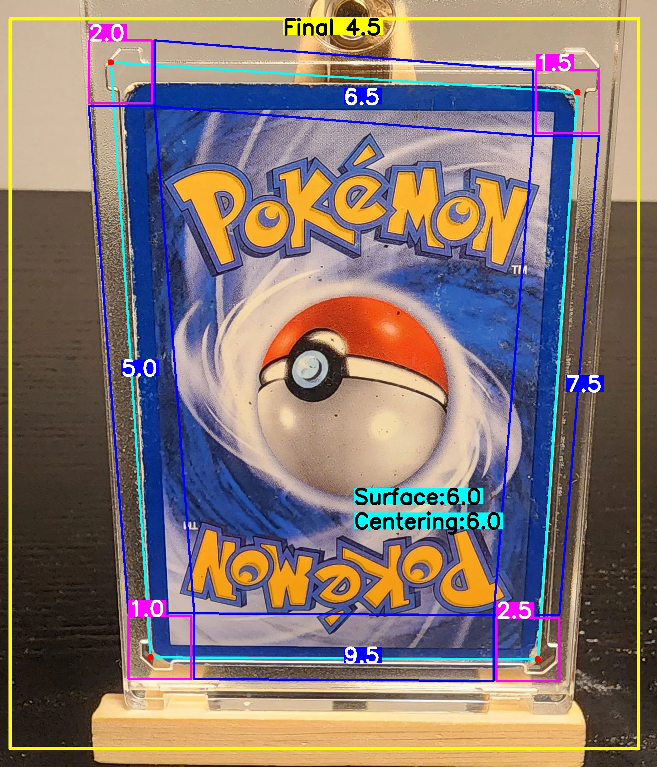 Back Card