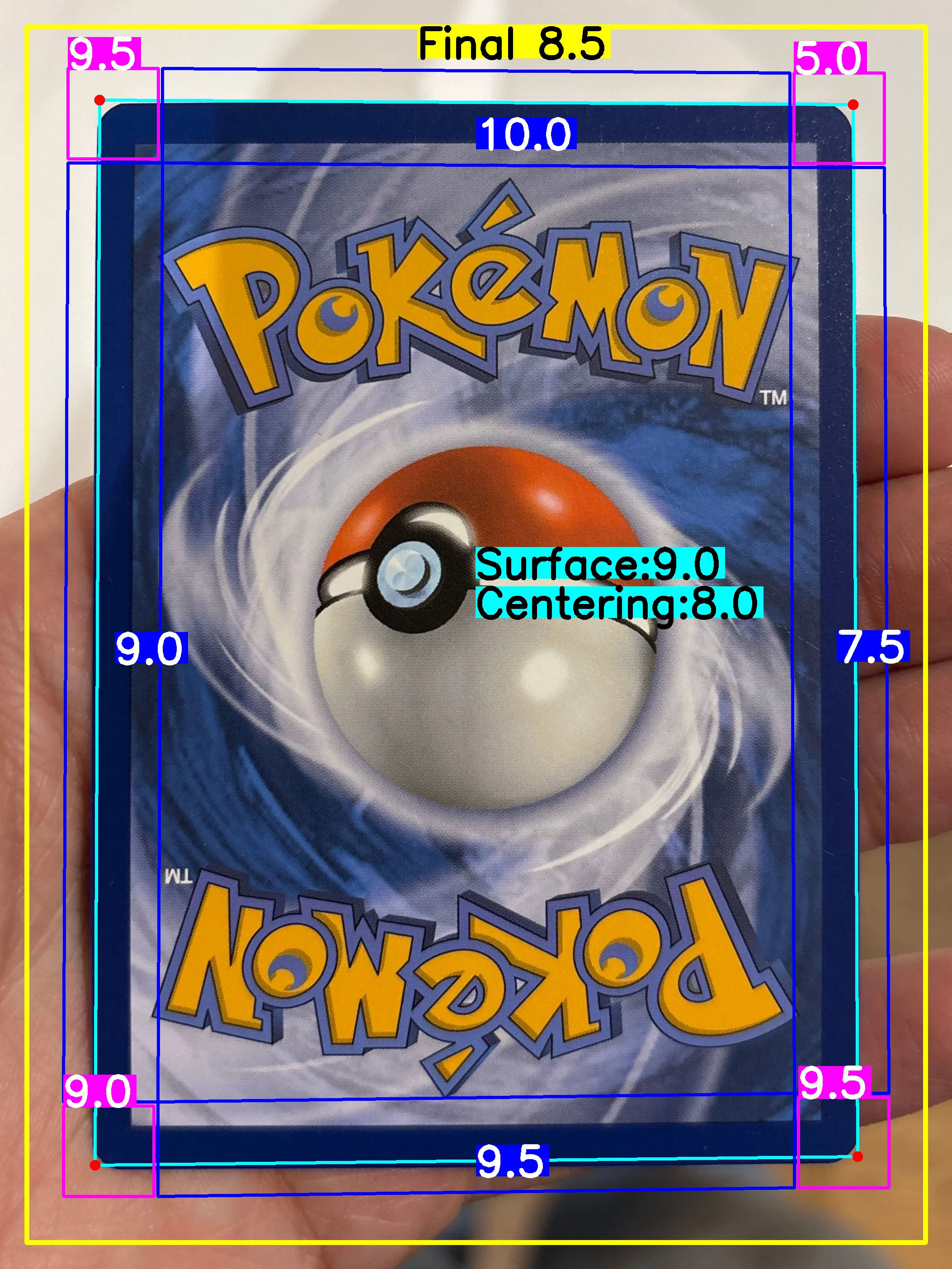 Back Card