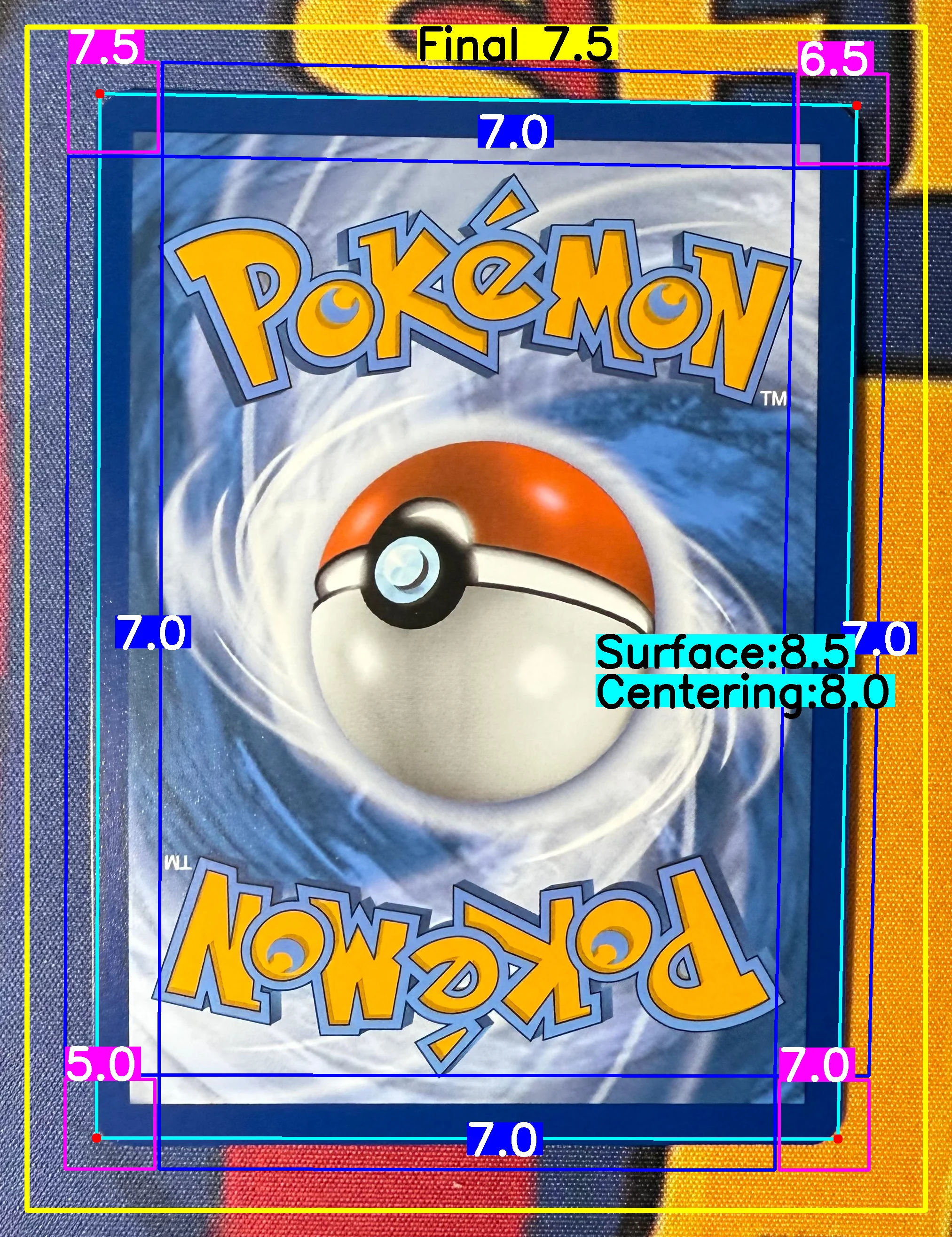 Back Card