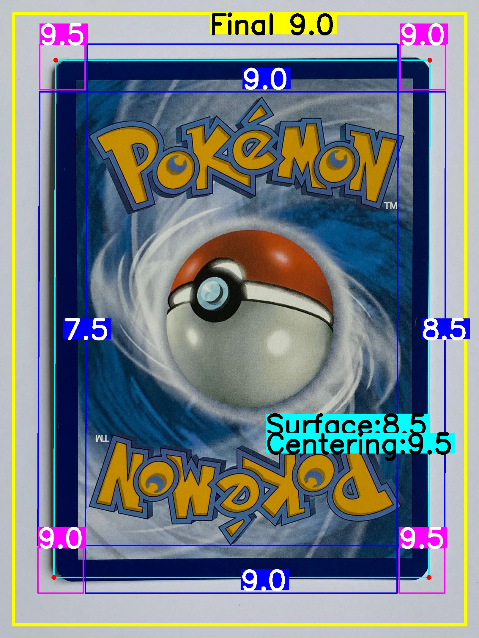 Back Card