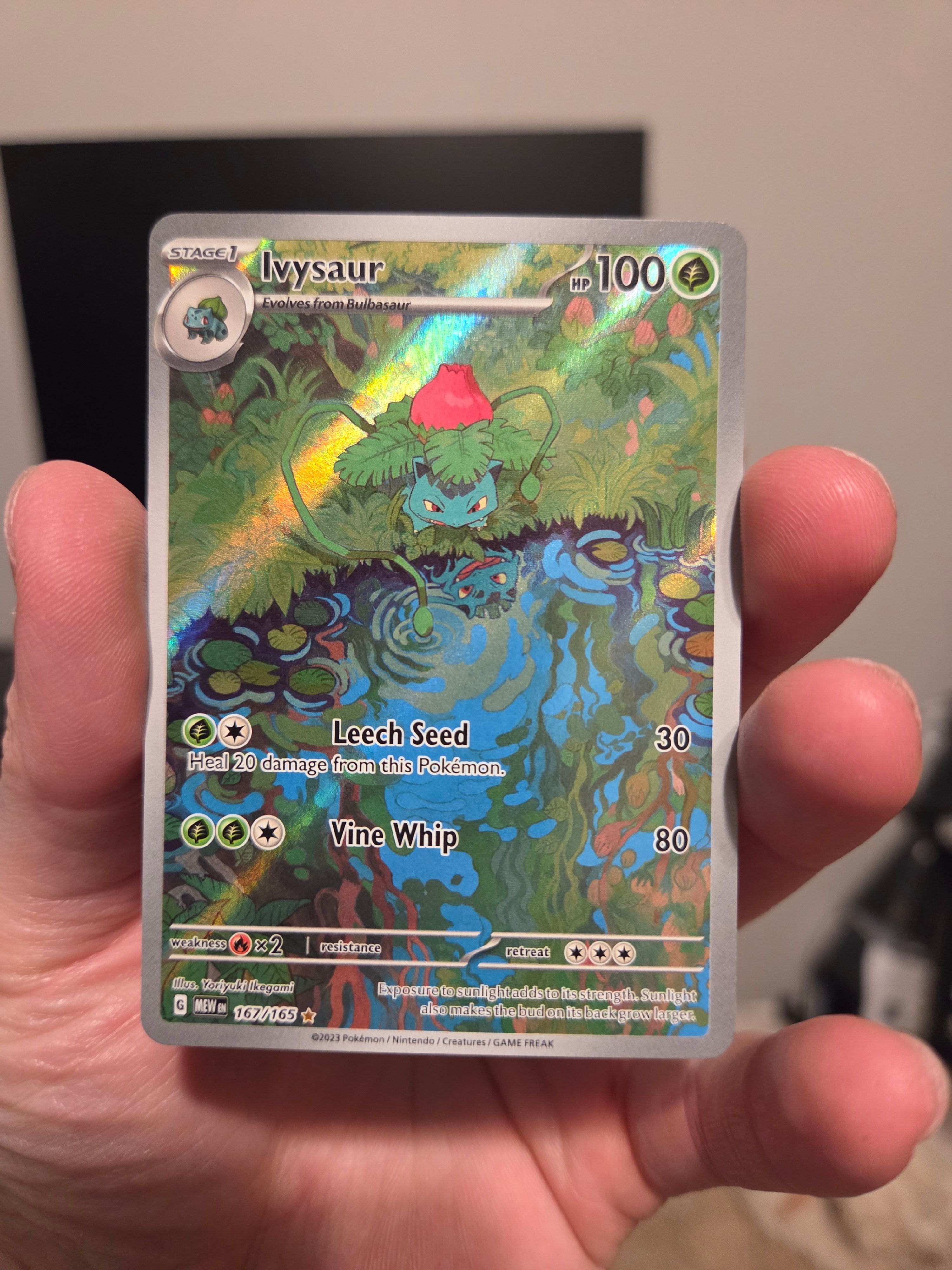 Front Card