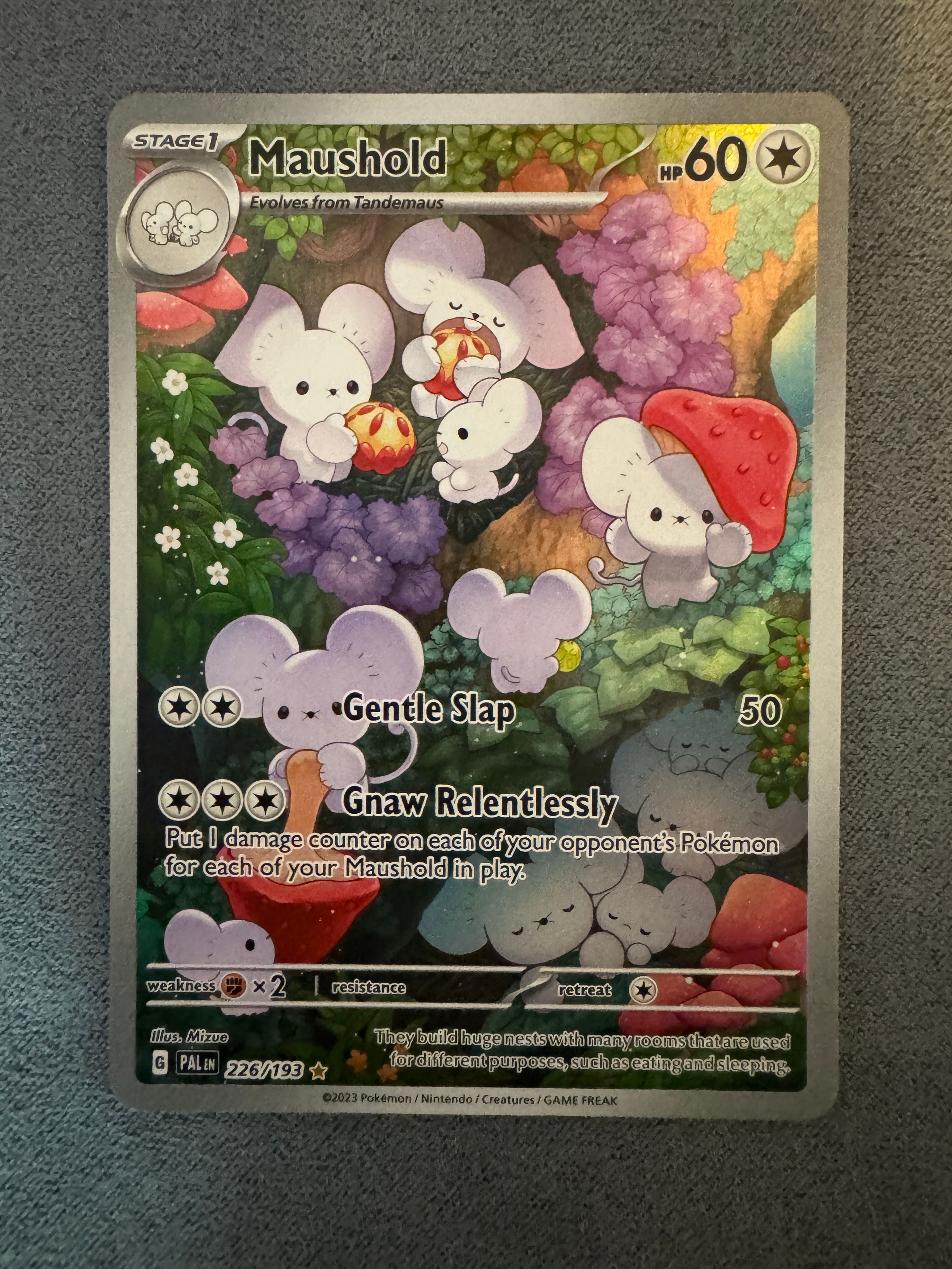 Front Card