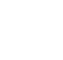 Logo Scout Mirandola 2