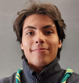 Enea