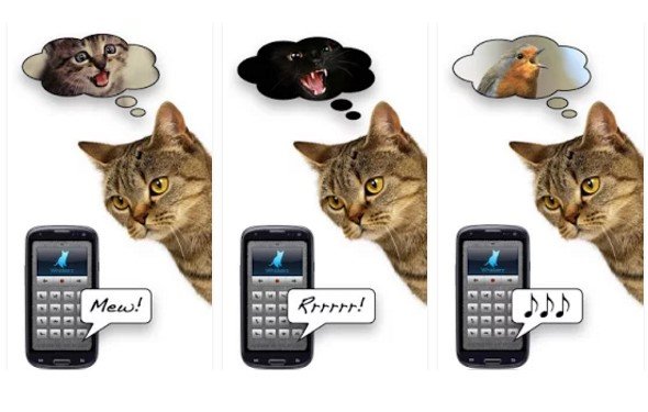 Mensch_Katze_Übersetzer Mensch-Katze-Übersetzer