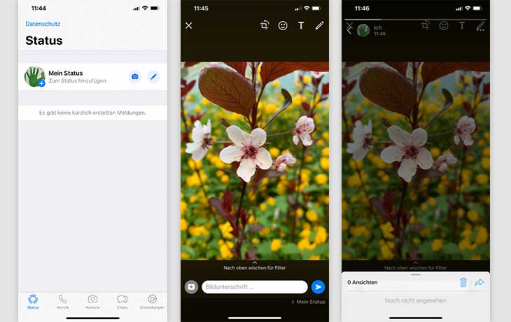 WhatsApp Status senden iOS