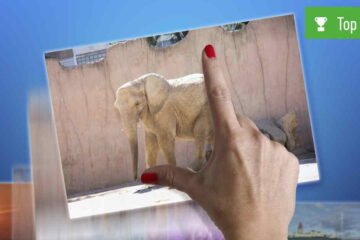 bilder-verkleinern-app