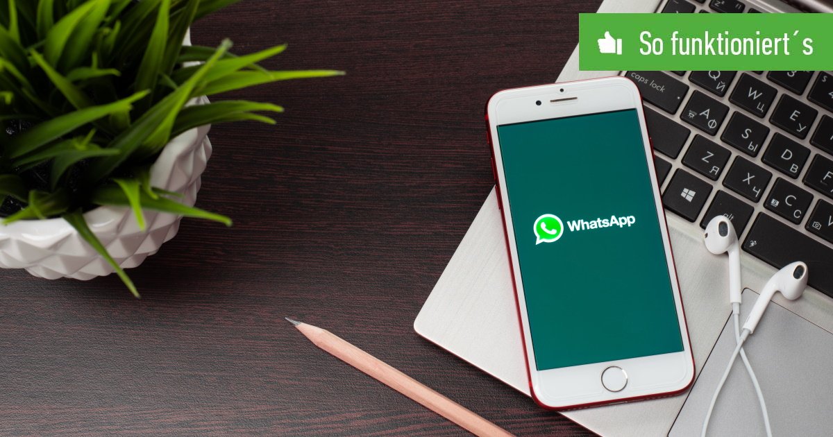 whatsapp-header