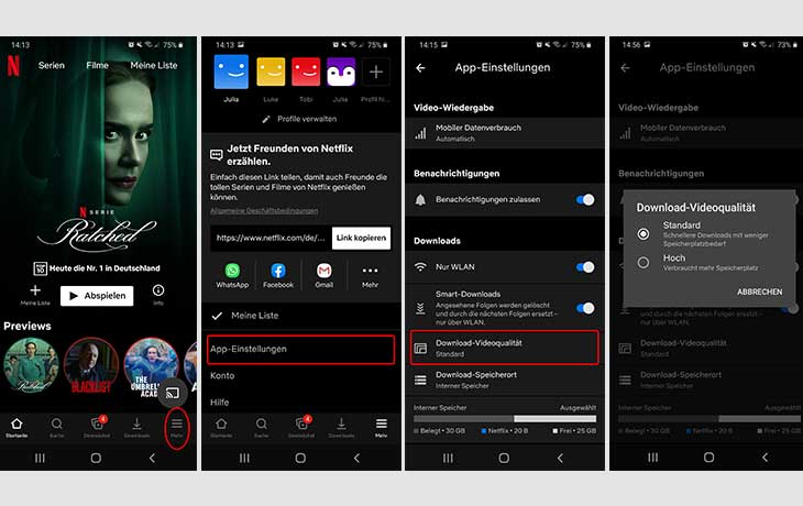 Netflix Qualität einstellen Download