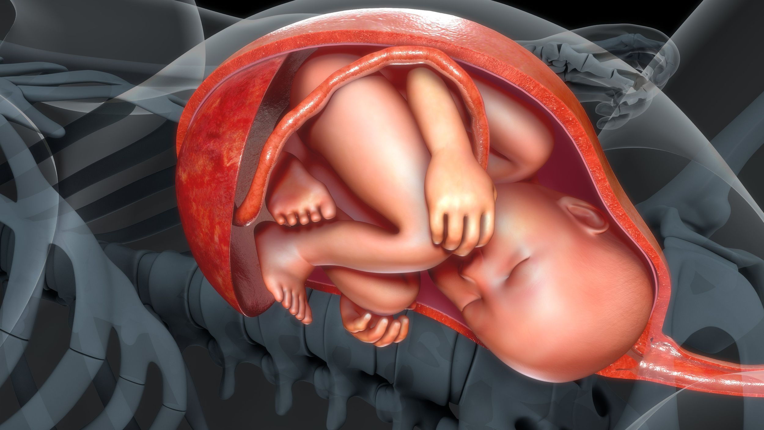 Pregnancy Week by Week Guide | Baby Development and Symptoms, image size:2500x1406